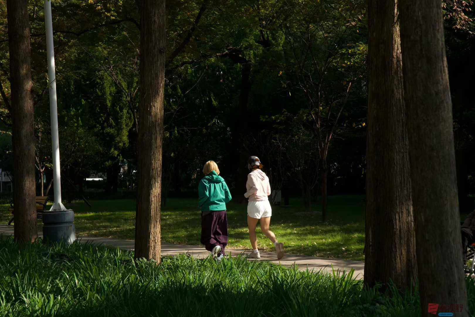 公园拾景【摄影张巧玲】