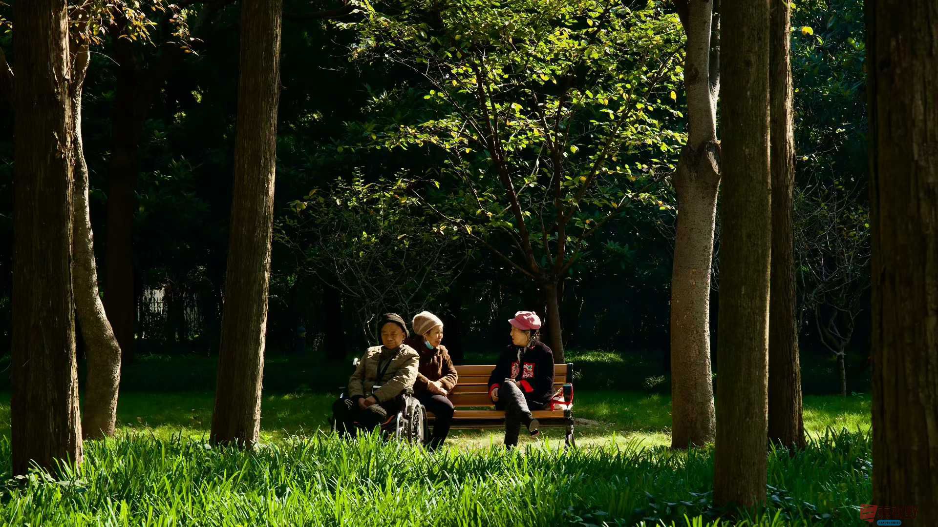 张巧玲_2025-11-21_112302_358 (8).jpg