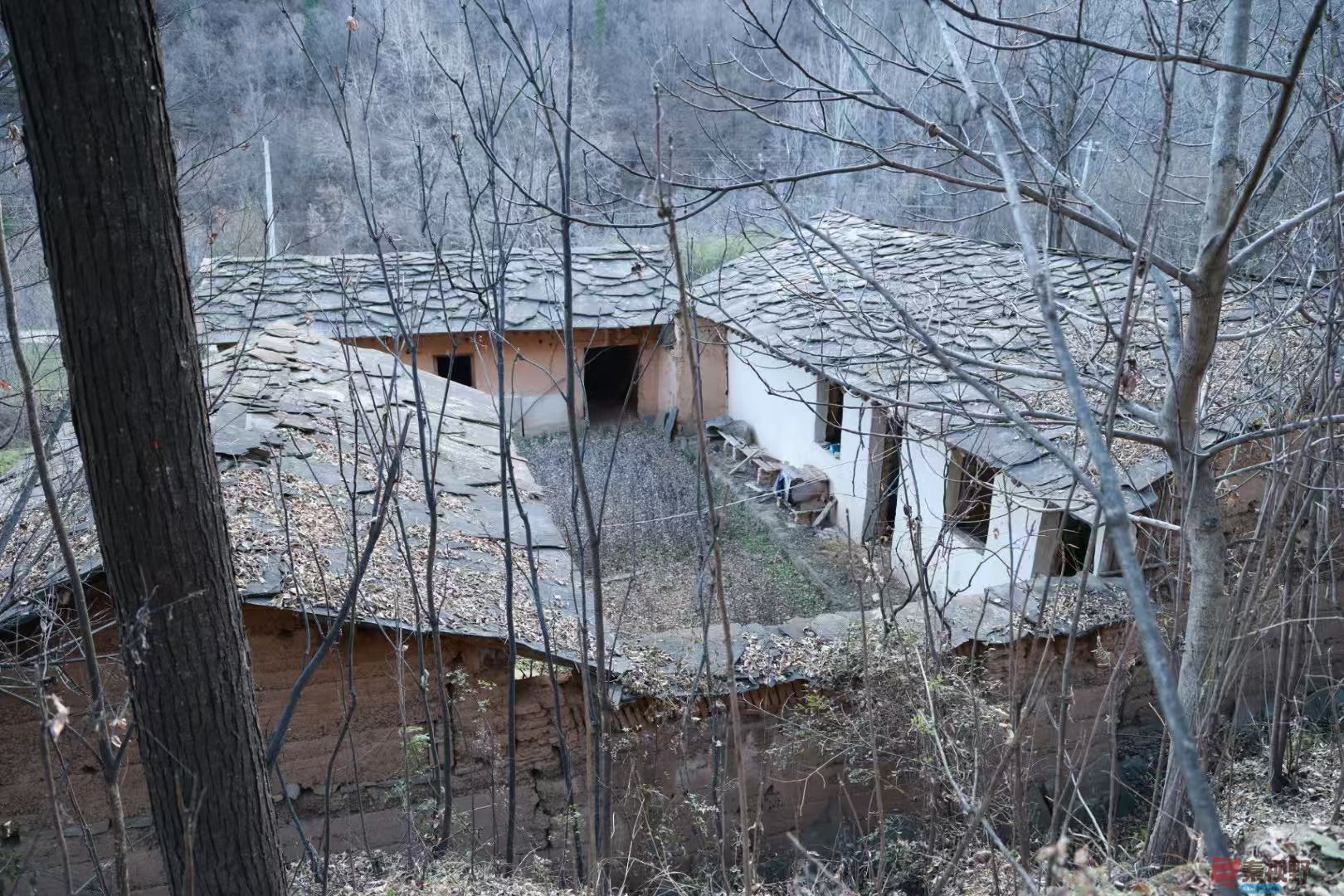 宋宝文_20251121090559_3573_463 (1).jpg