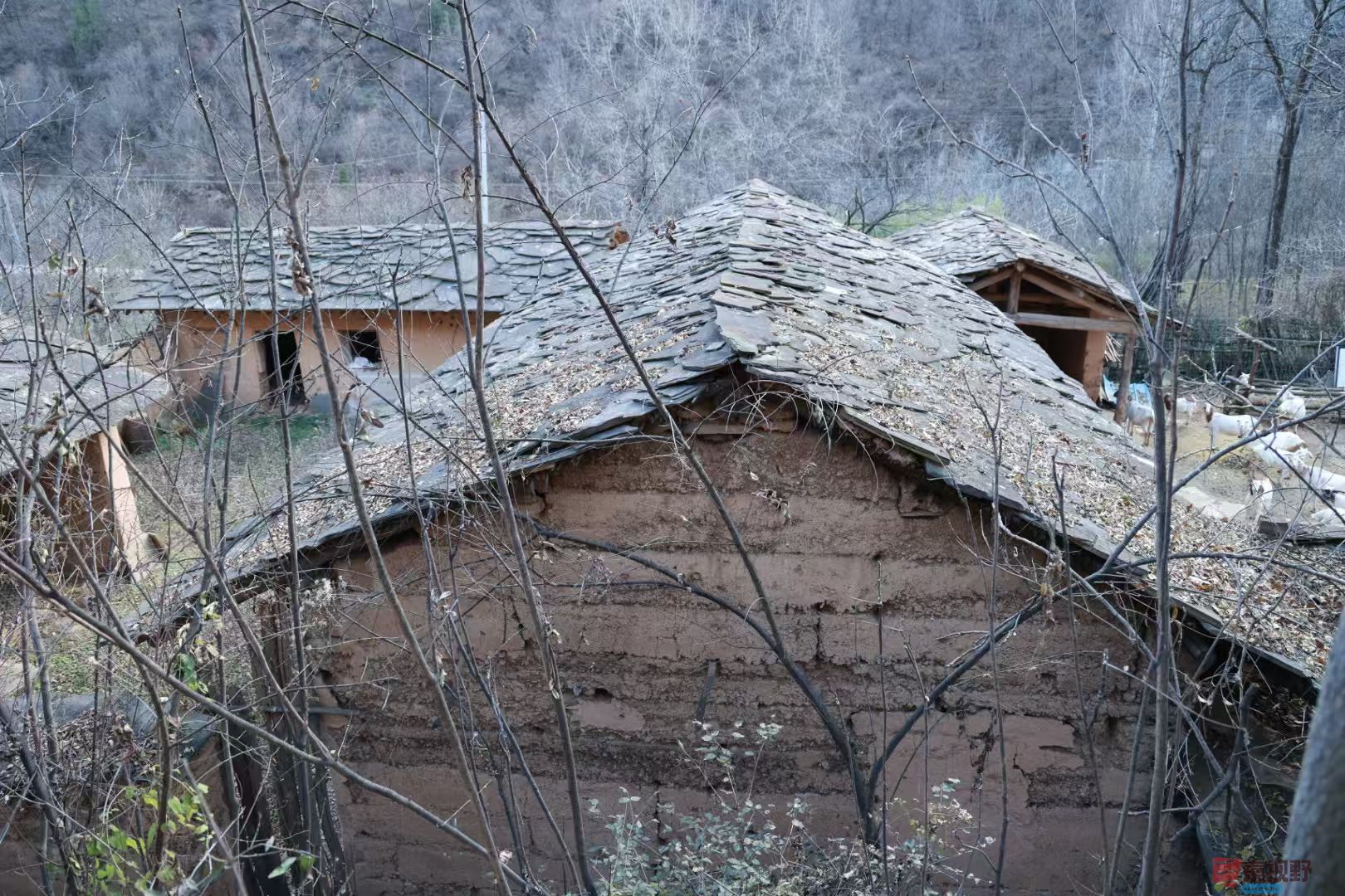 宋宝文_20251121090559_3573_463 (3).jpg