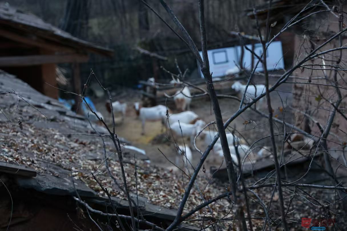 宋宝文_20251121090559_3573_463 (7).jpg