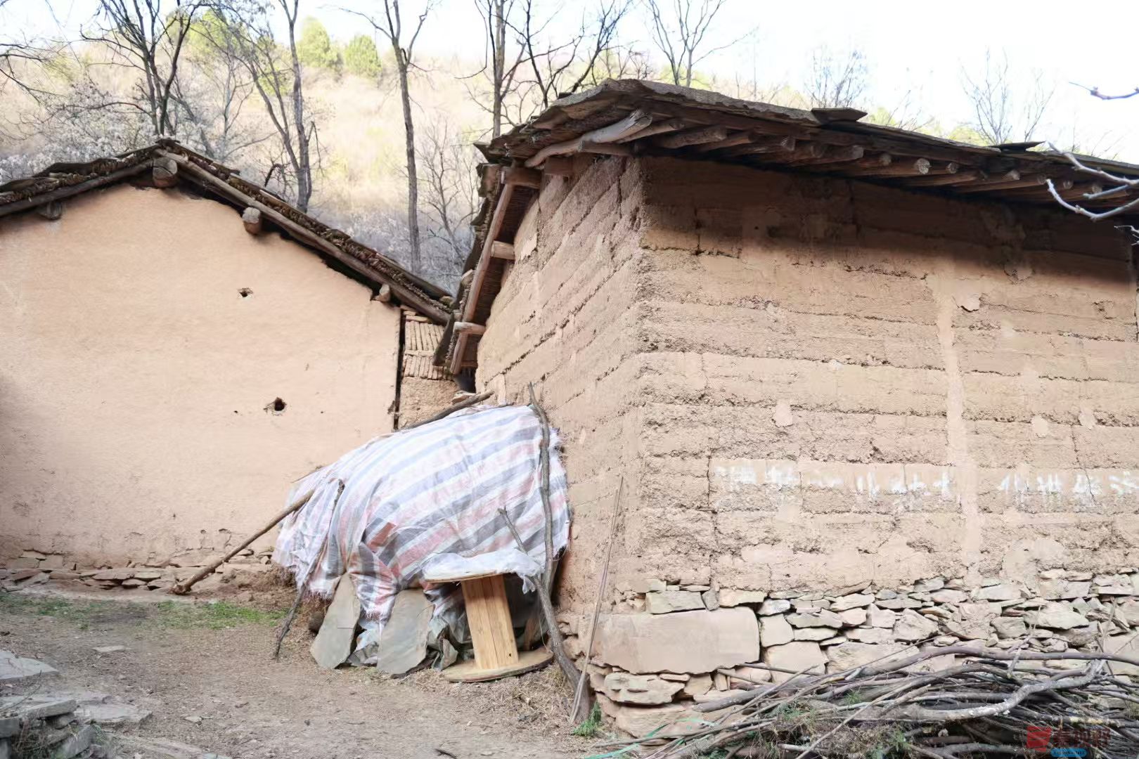 宋宝文_20251121090559_3573_463 (6).jpg