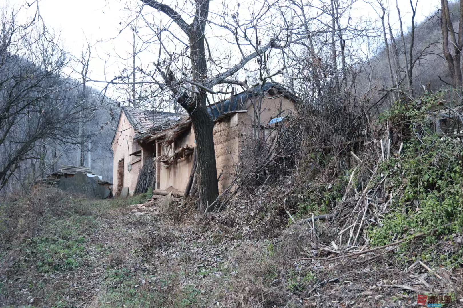 宋宝文_20251121090559_3573_463 (8).jpg