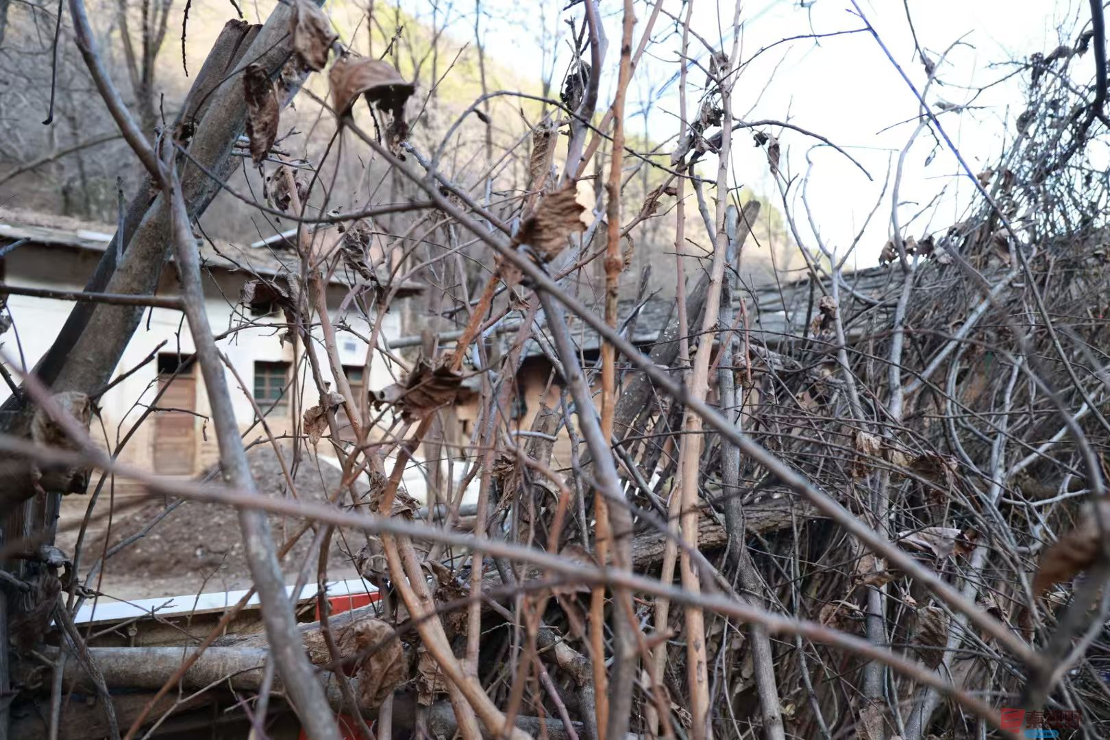 宋宝文_20251121090559_3573_463 (10).jpg