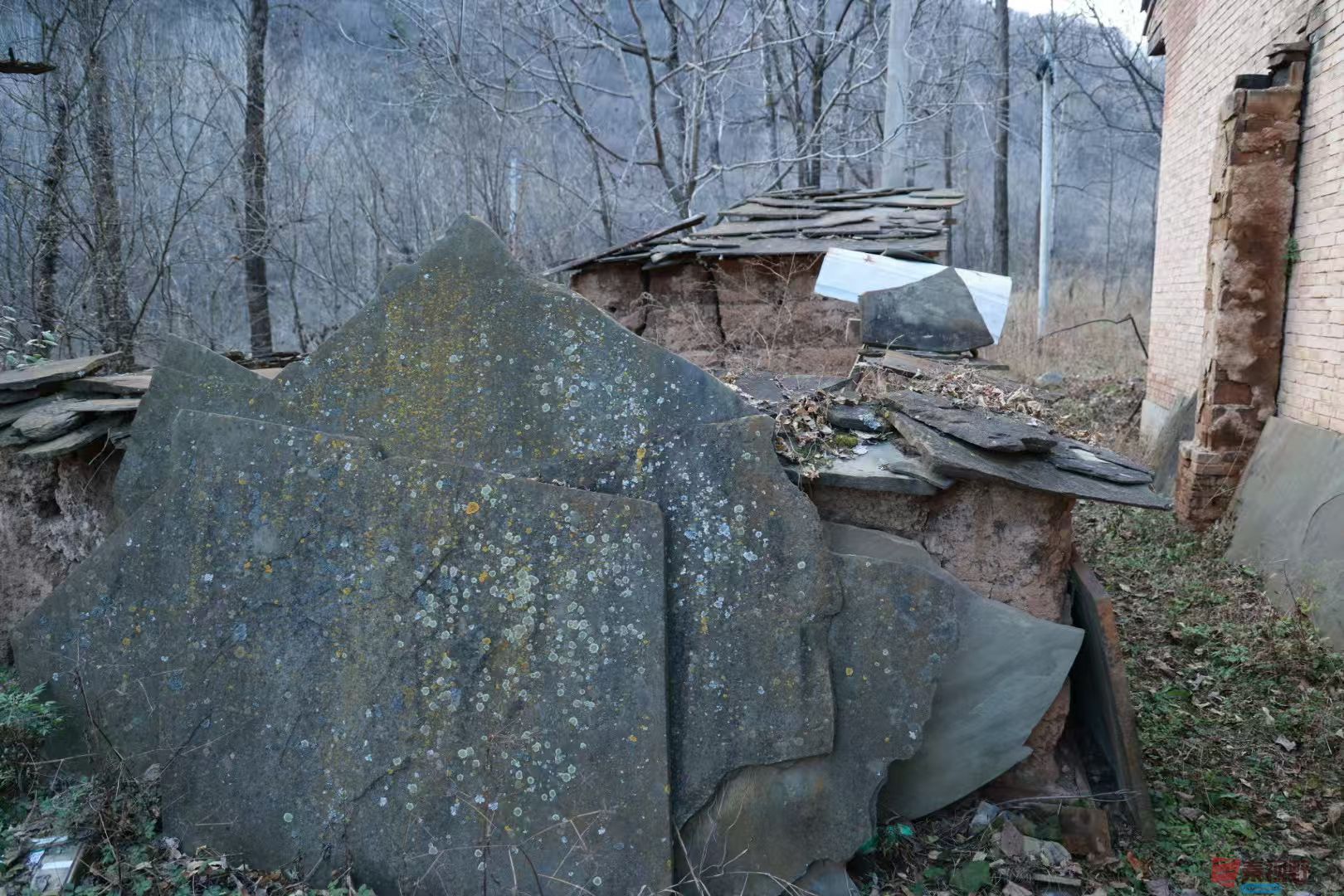 宋宝文_20251121090559_3573_463 (11).jpg