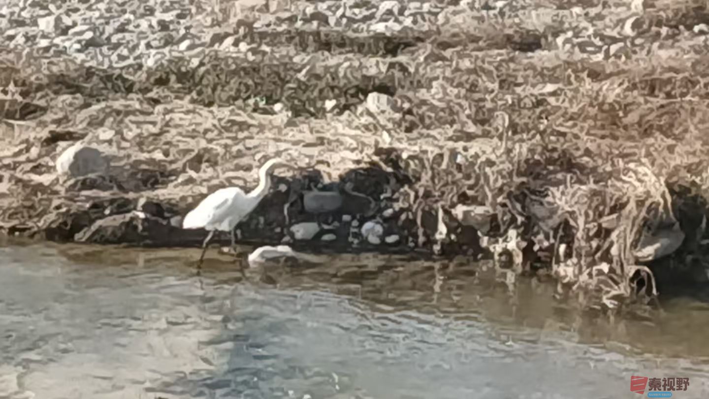 宋宝文_20251121090559_3573_463 (13).jpg