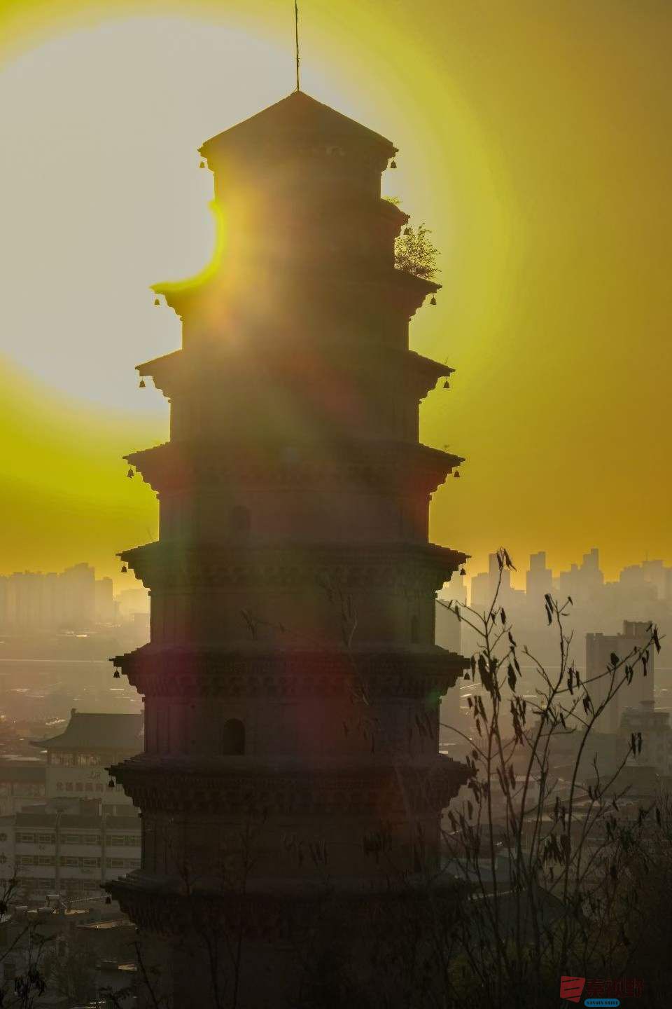 陈耀杰_2025-11-21_112633_315 (4).jpg