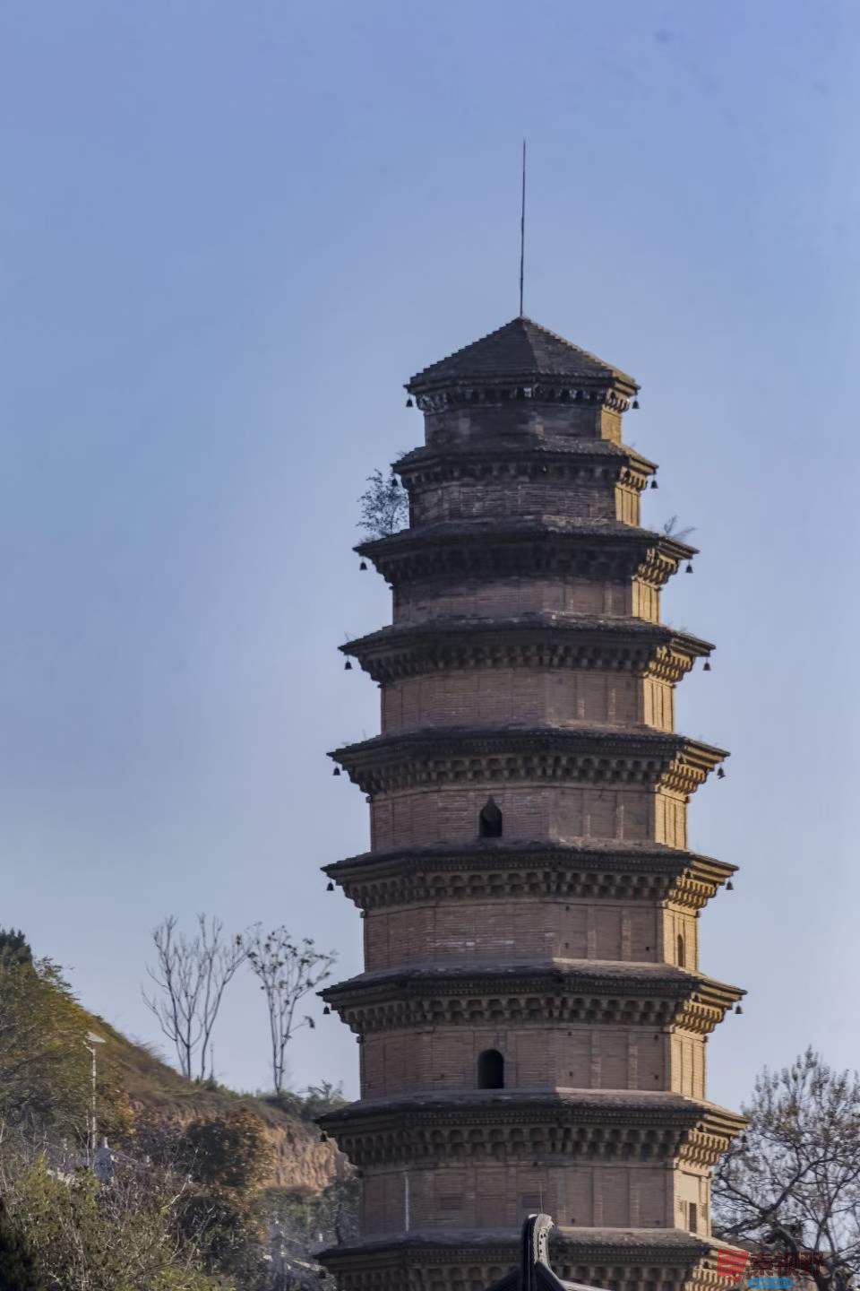 陈耀杰_2025-11-21_112633_315 (3).jpg