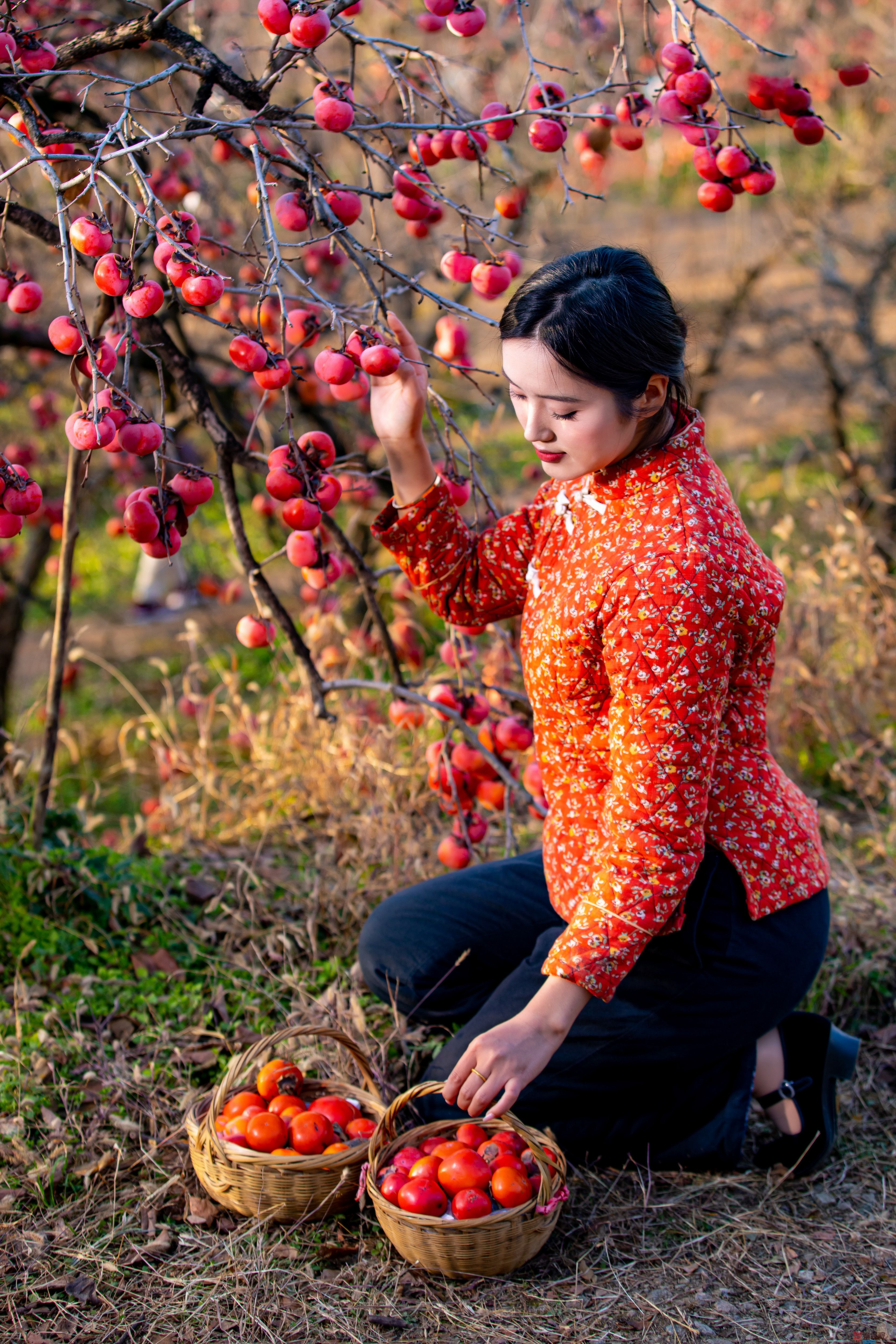 张宝光_20251122160310_2502_104 (1).jpg