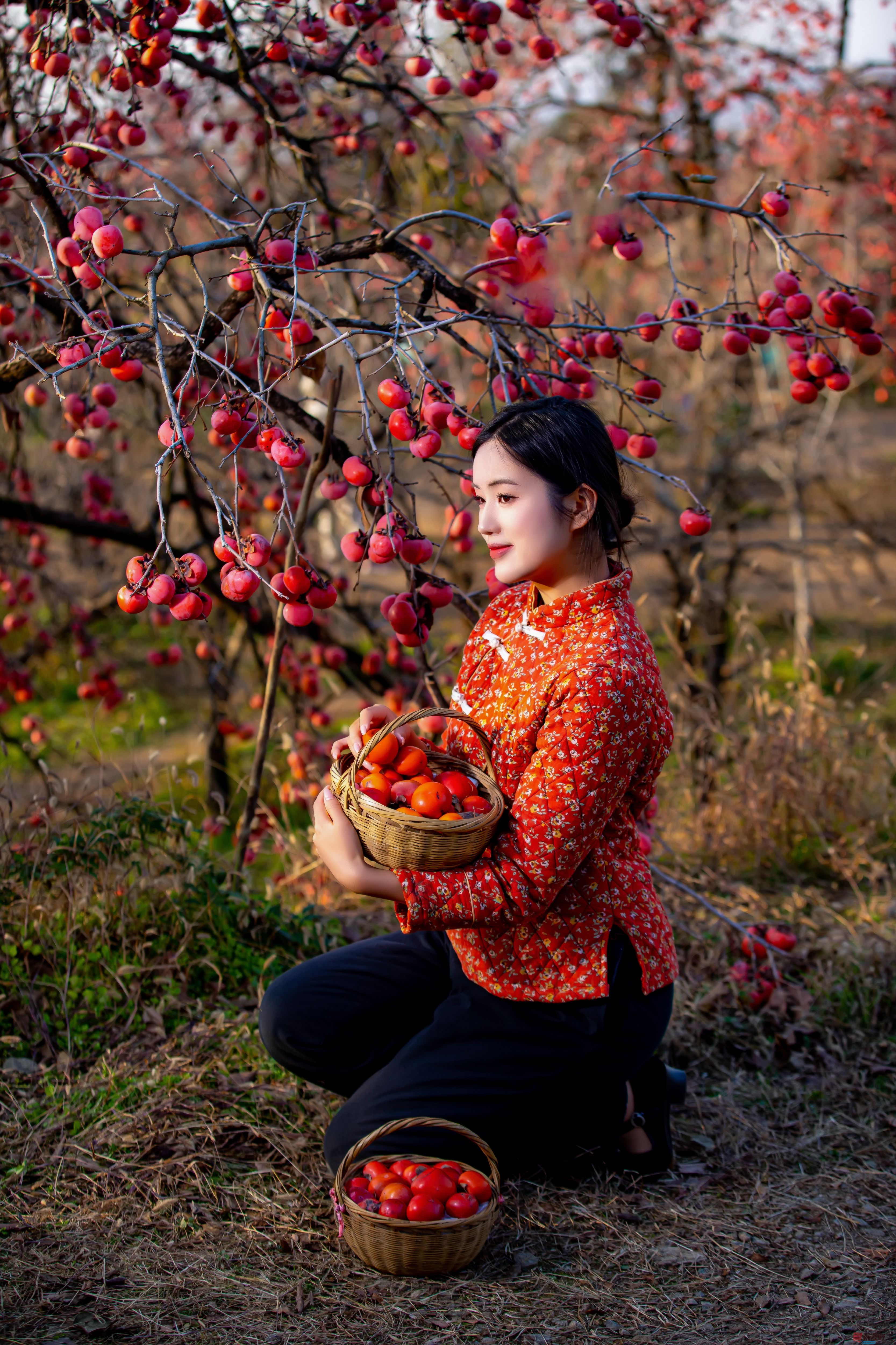 张宝光_20251122160310_2502_104 (2).jpg