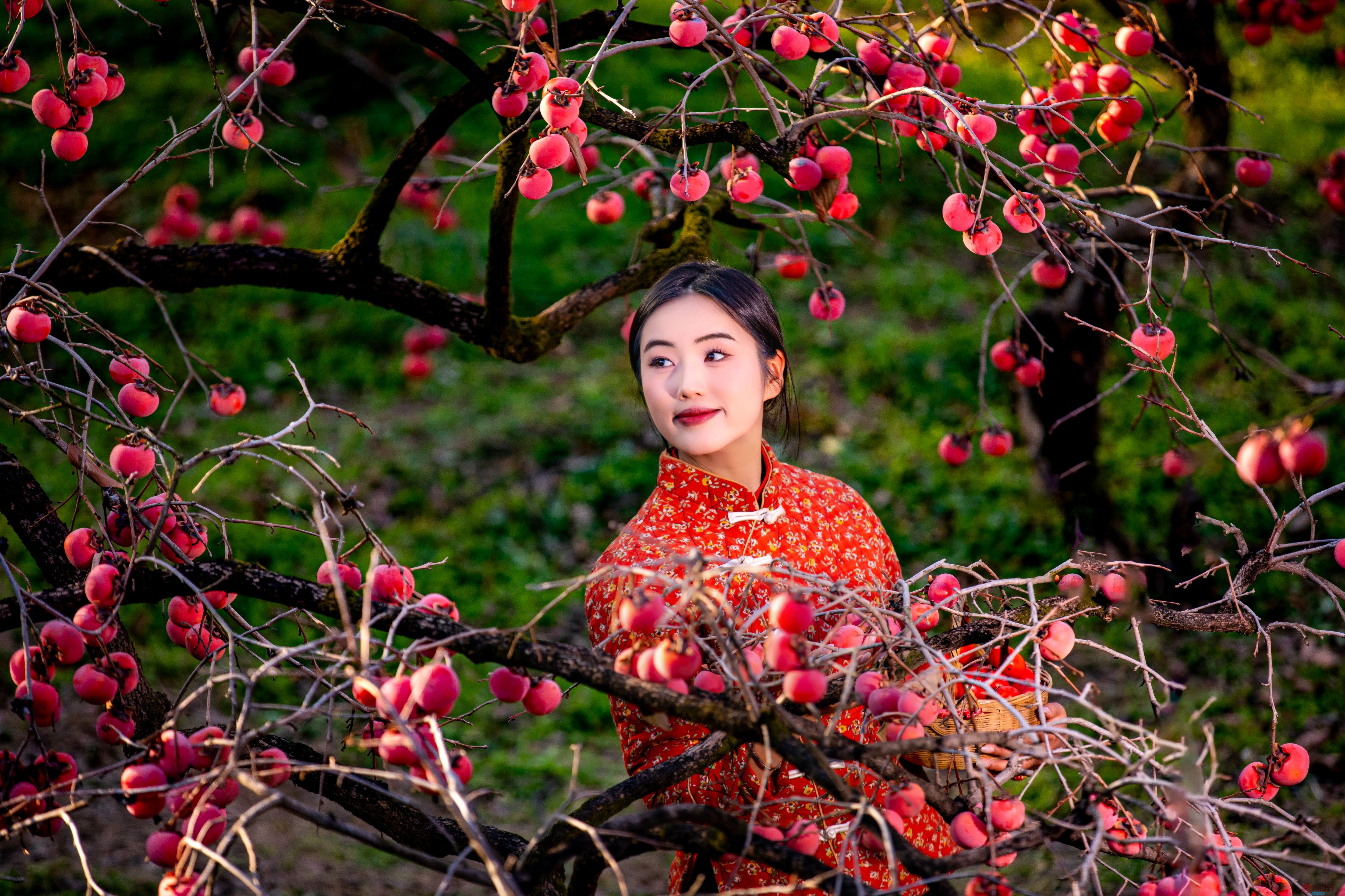 张宝光_20251122160310_2502_104 (4).jpg