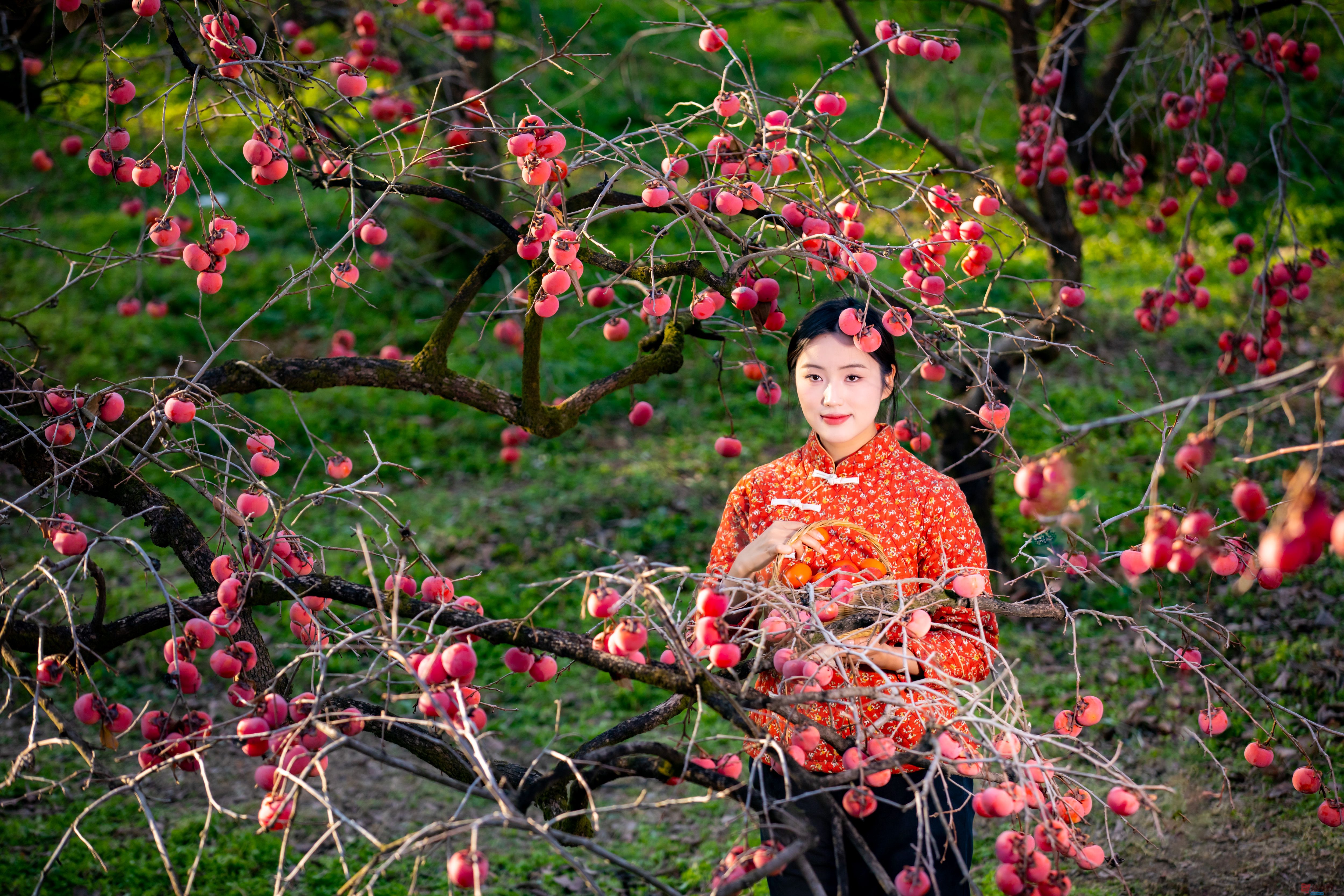 张宝光_20251122160310_2502_104 (9).jpg