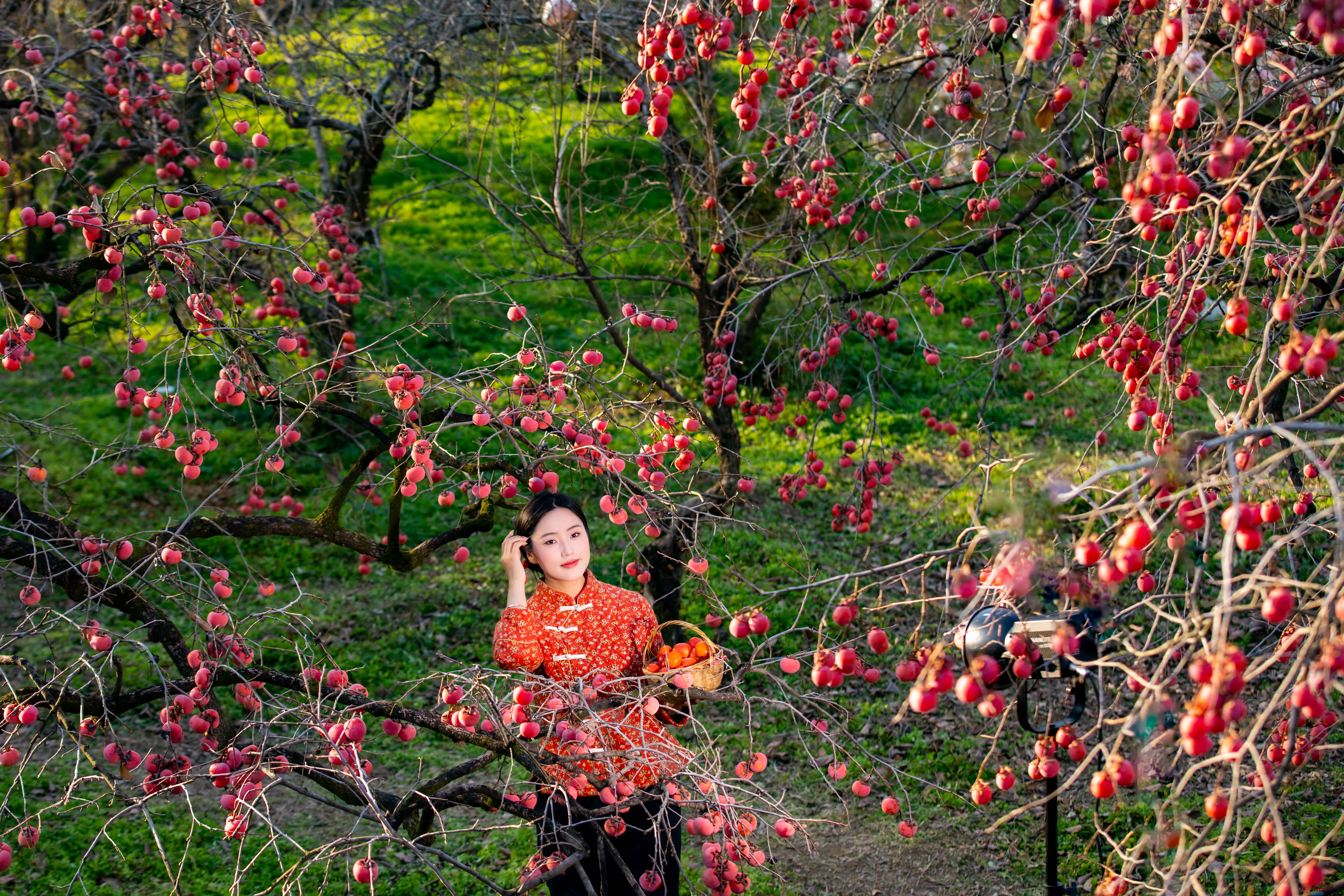 张宝光_20251122160310_2502_104 (12).jpg