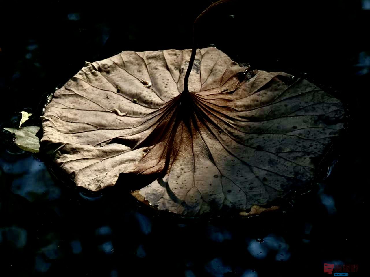 黄风升_20251113191710_41_1292 (7).jpg