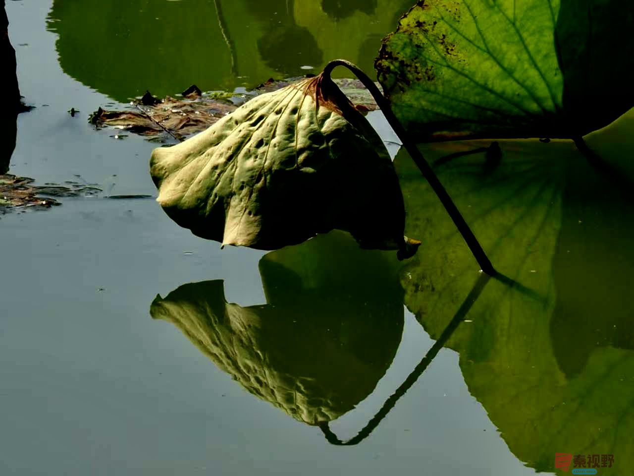 黄风升_20251113191710_41_1292 (10).jpg