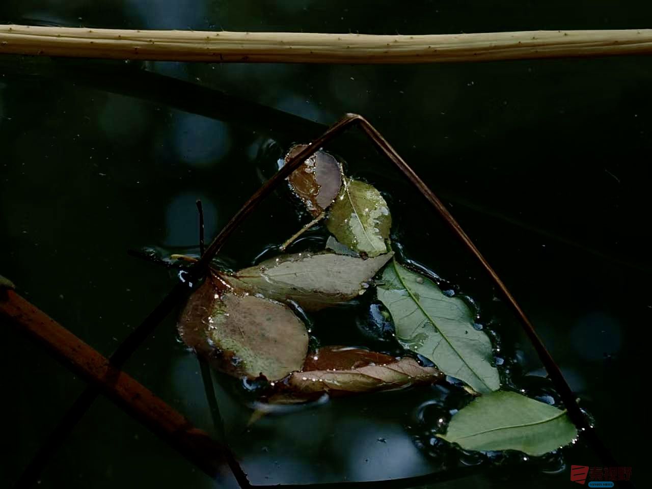 黄风升_20251113191710_41_1292 (9).jpg