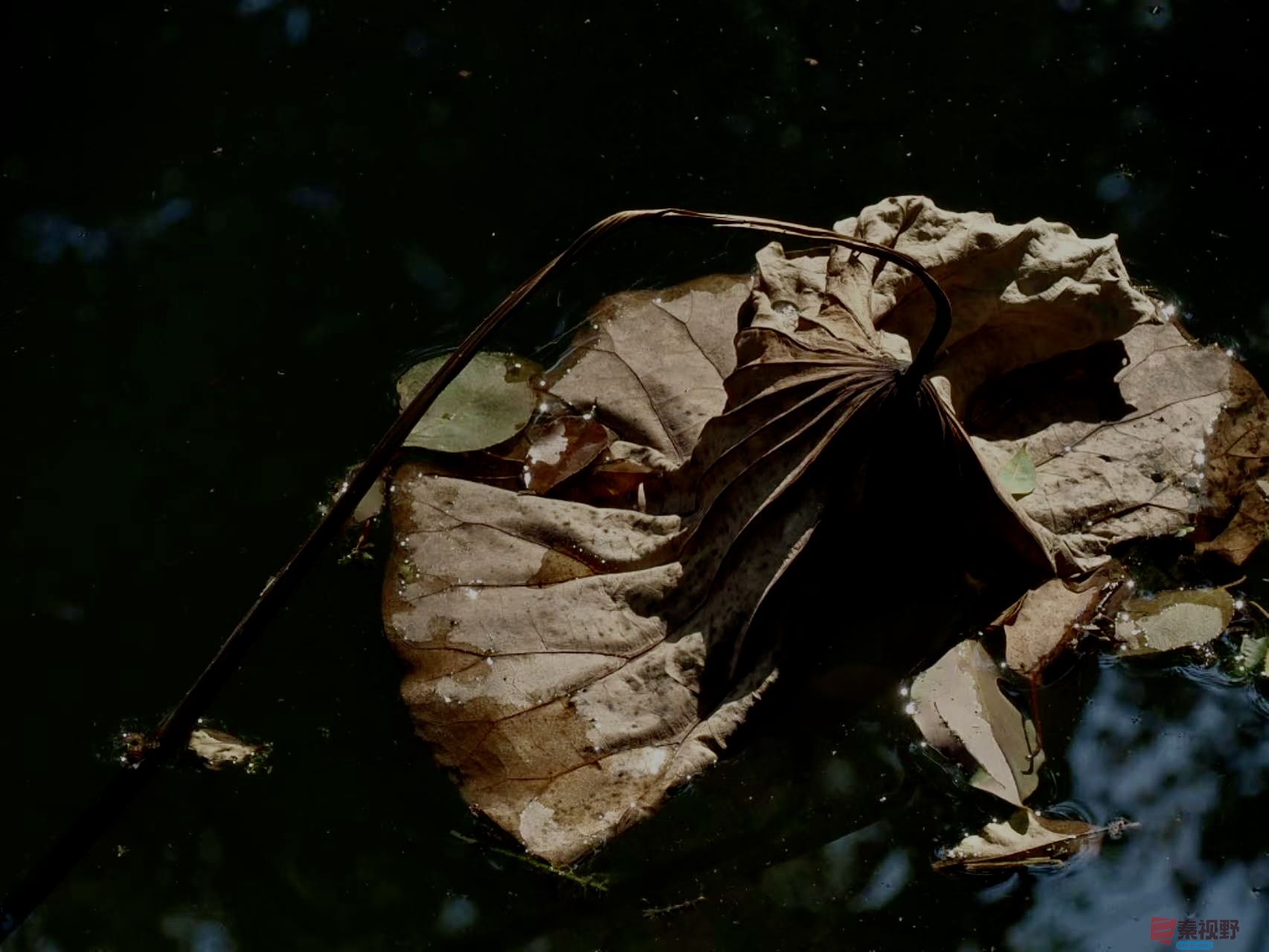 黄风升_20251113191710_41_1292 (8).jpg