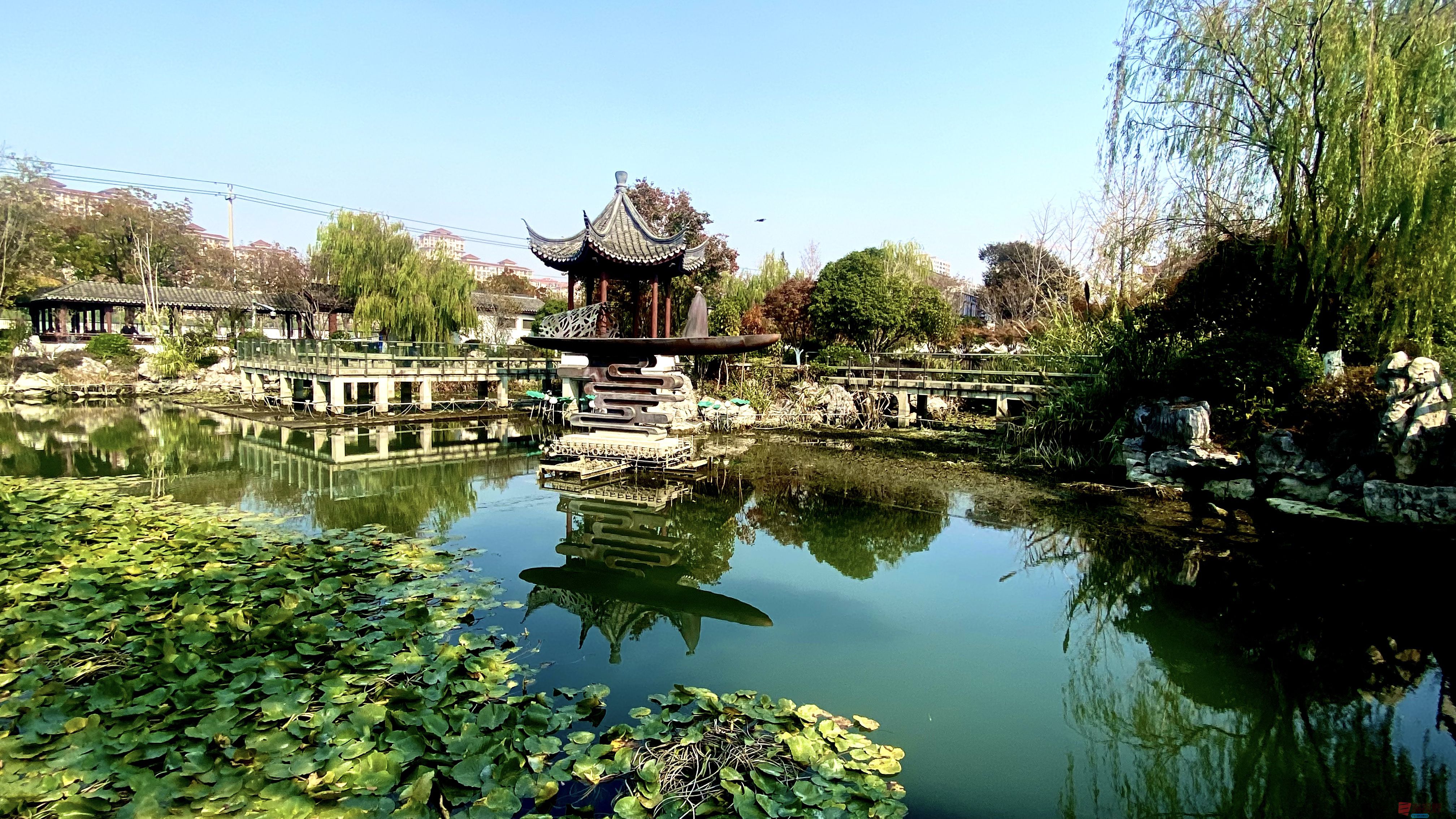 黄风升_20251113191710_41_1292 (15).jpg