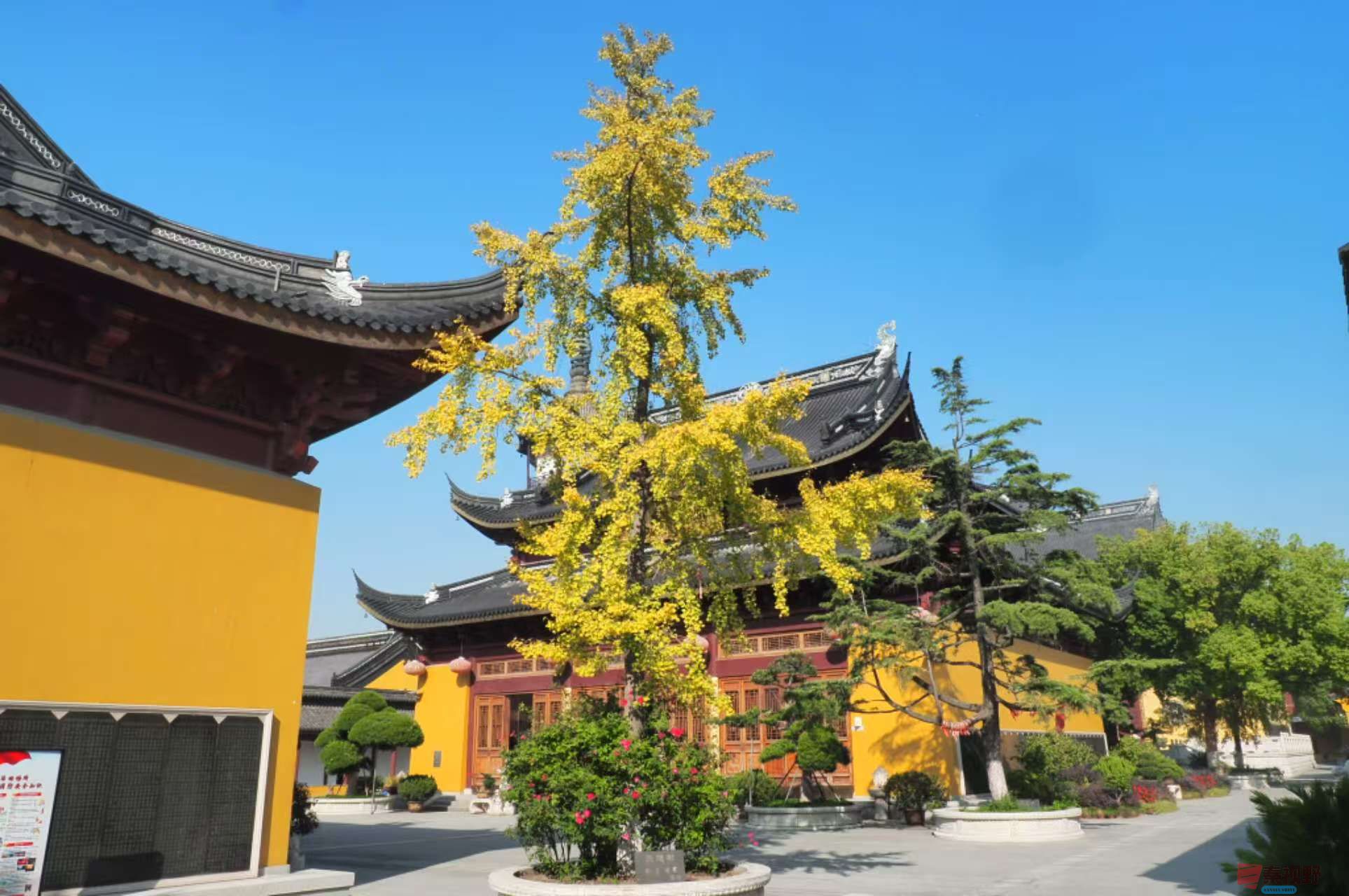 黄风升_20251113191710_41_1292 (25).jpg