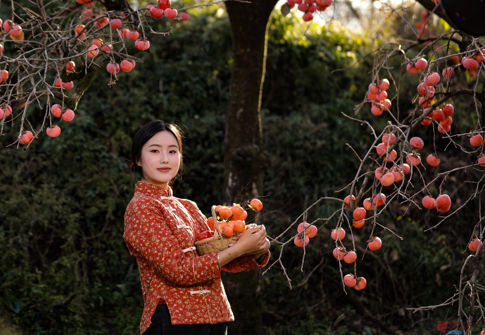 刘胜军_20251122164325_2510_104 (3).jpg