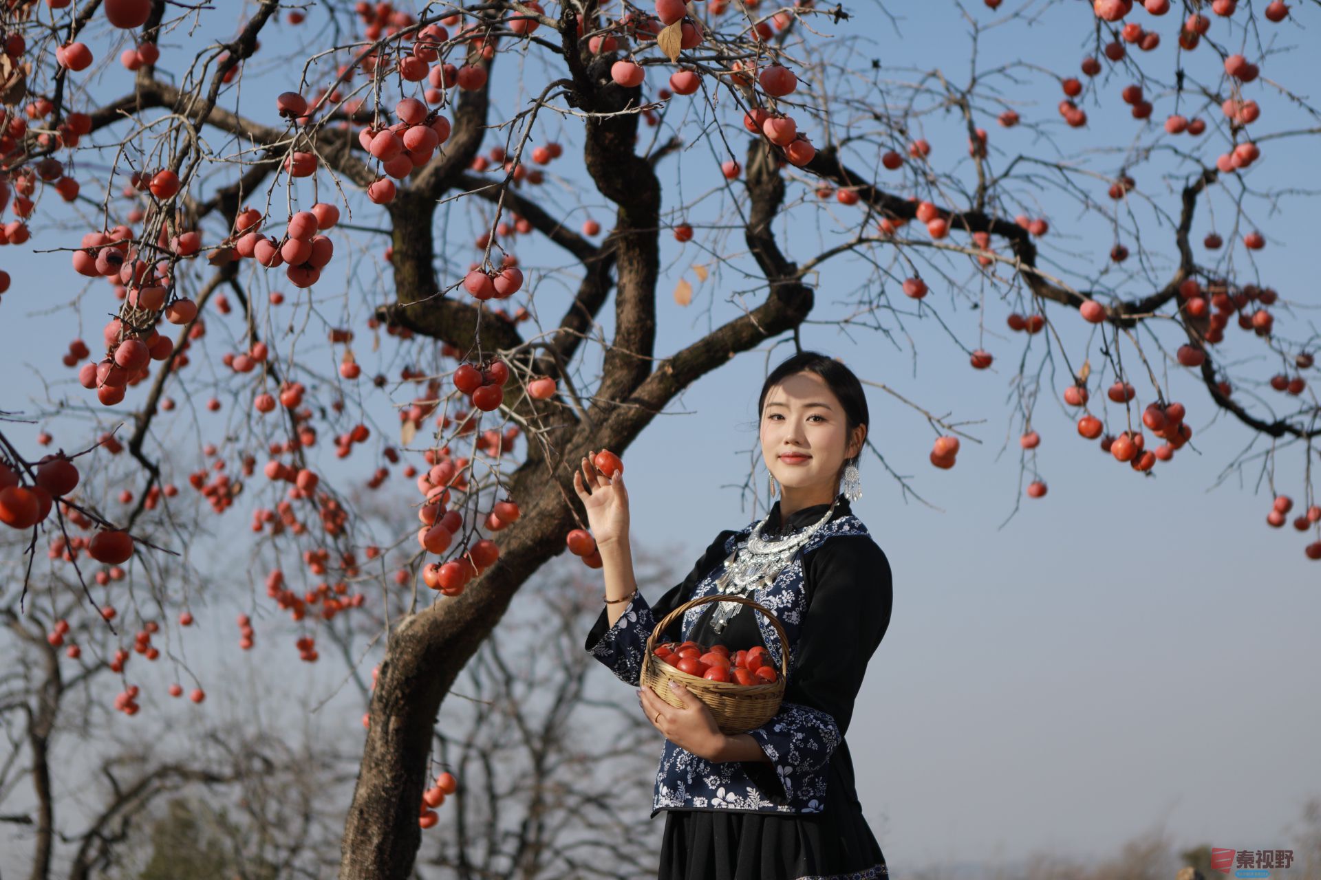 刘胜军_20251122164325_2510_104 (5).jpg