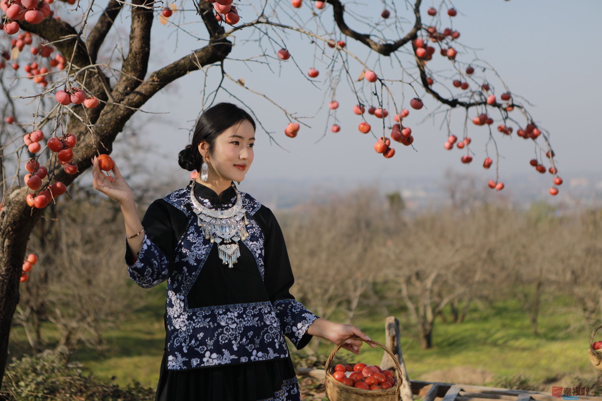 刘胜军_20251122164334_2515_104 (1).jpg