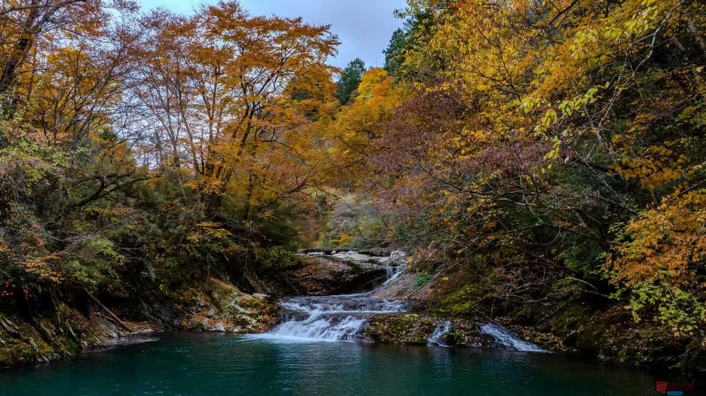 张宝光_20251122121858_2456_104 (5).jpg