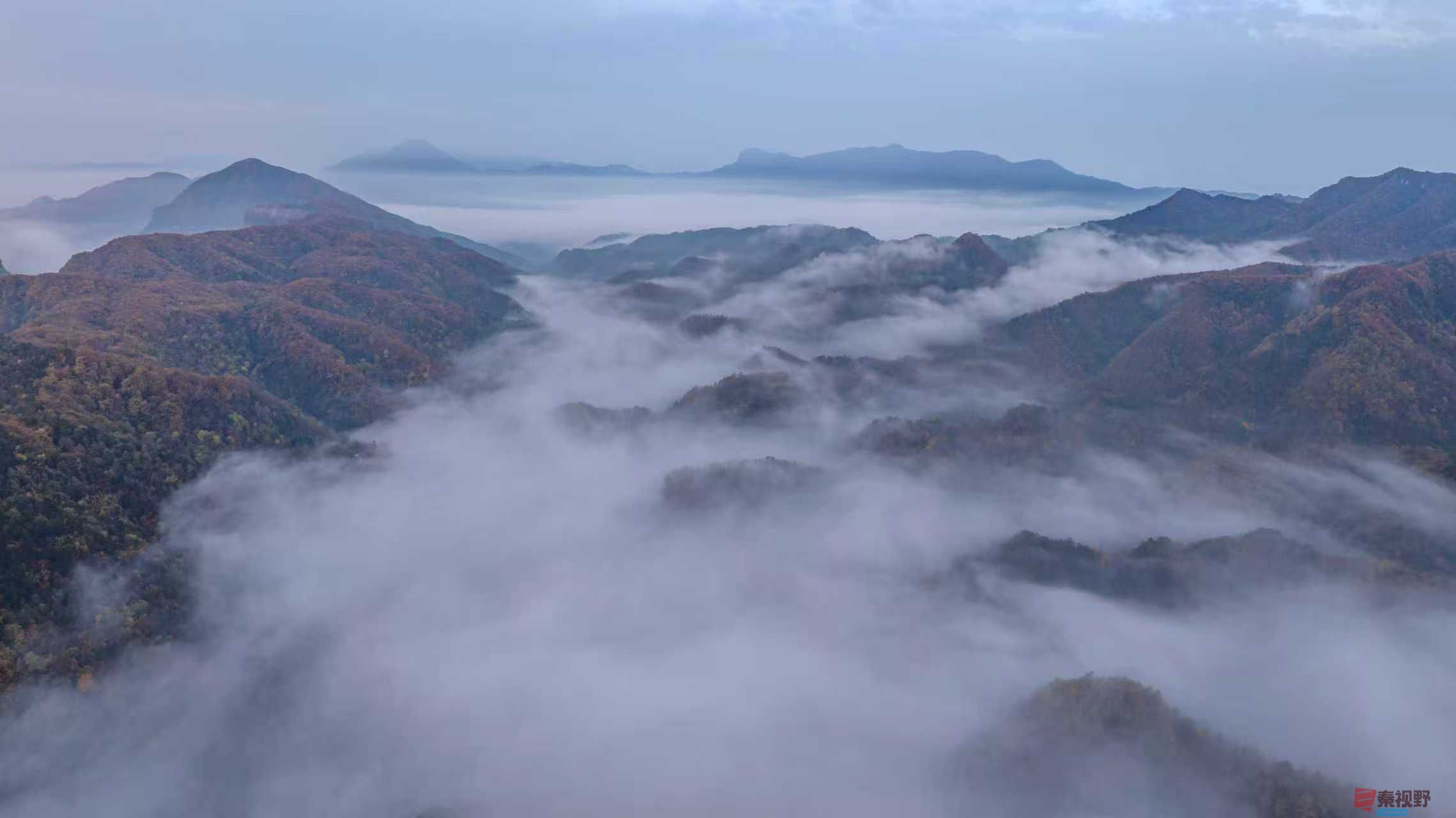 张宝光_20251122121858_2456_104 (1).jpg