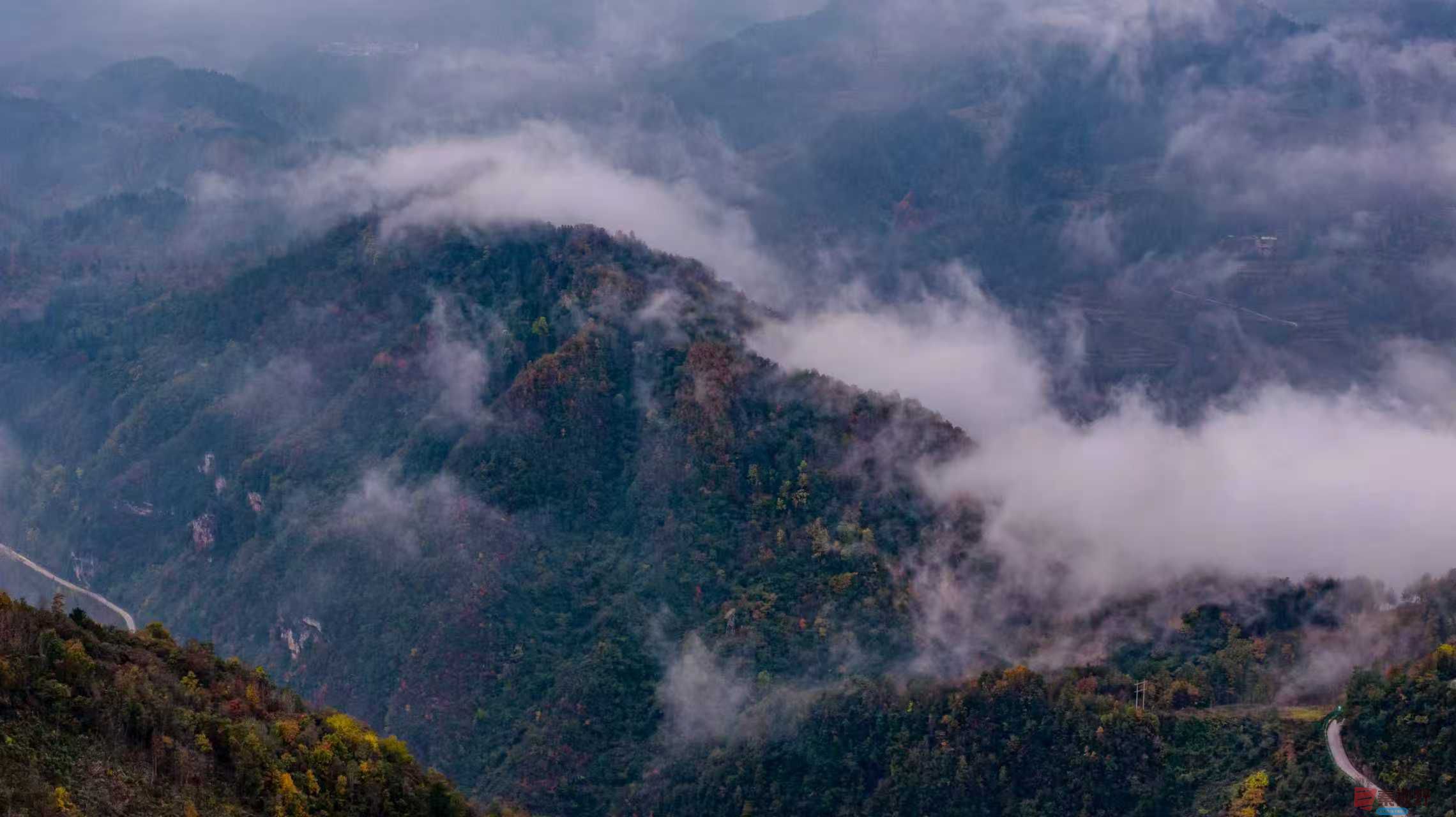 张宝光_20251122121858_2456_104 (2).jpg