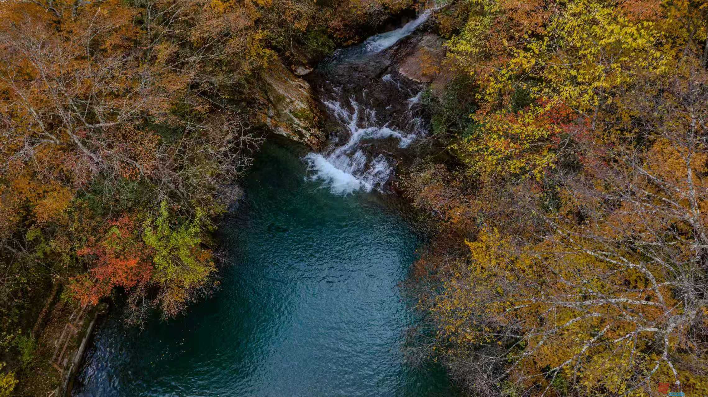 迷人的秋景【摄影张宝光】