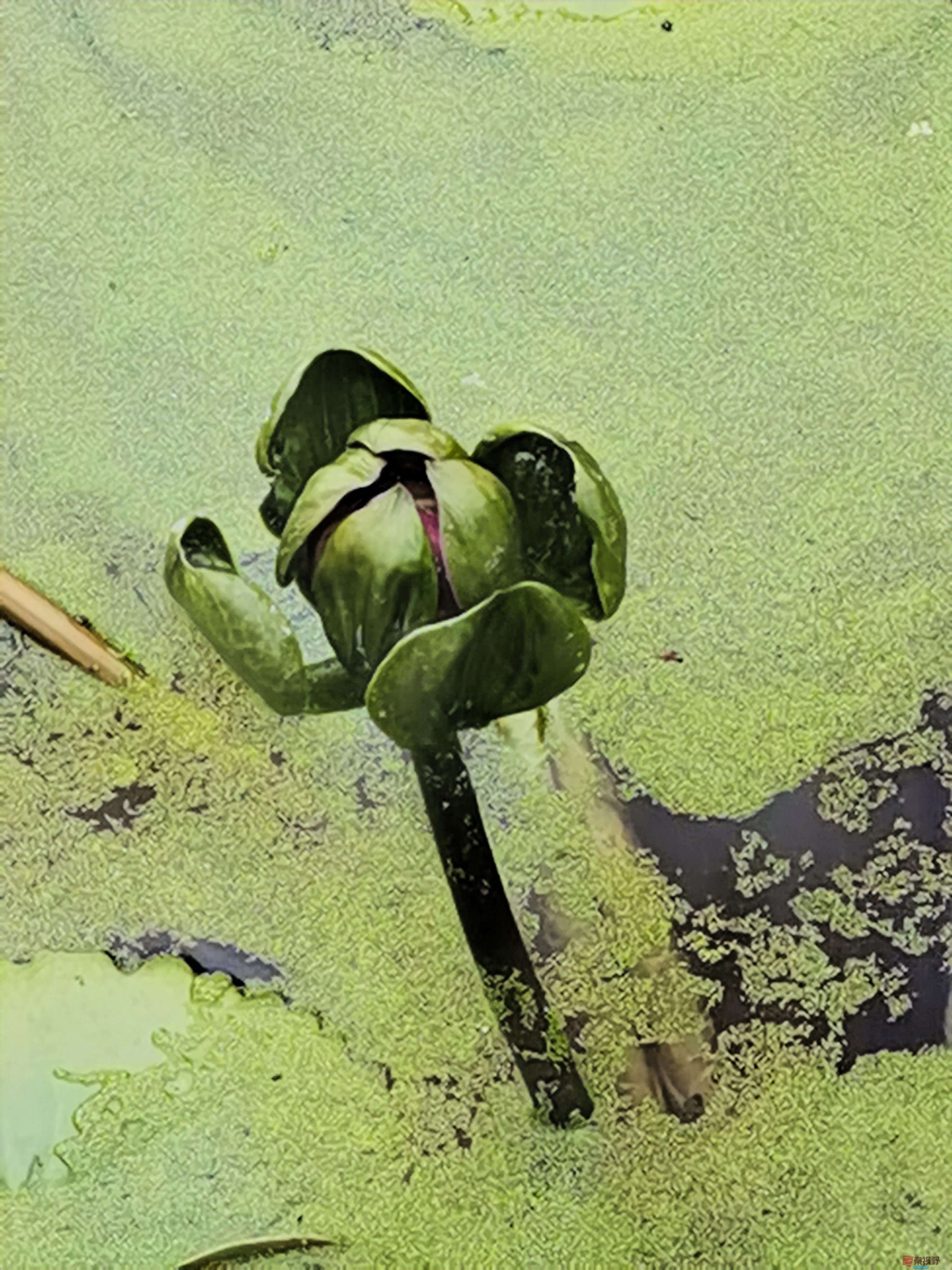 王耀林_20251123154652_2554_104 (4).jpg