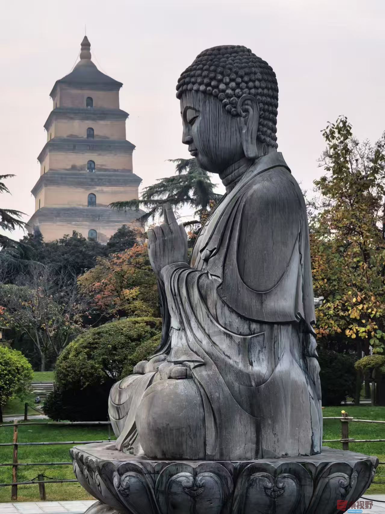 绿海雪塬_20251123183028_2564_104 (2).jpg