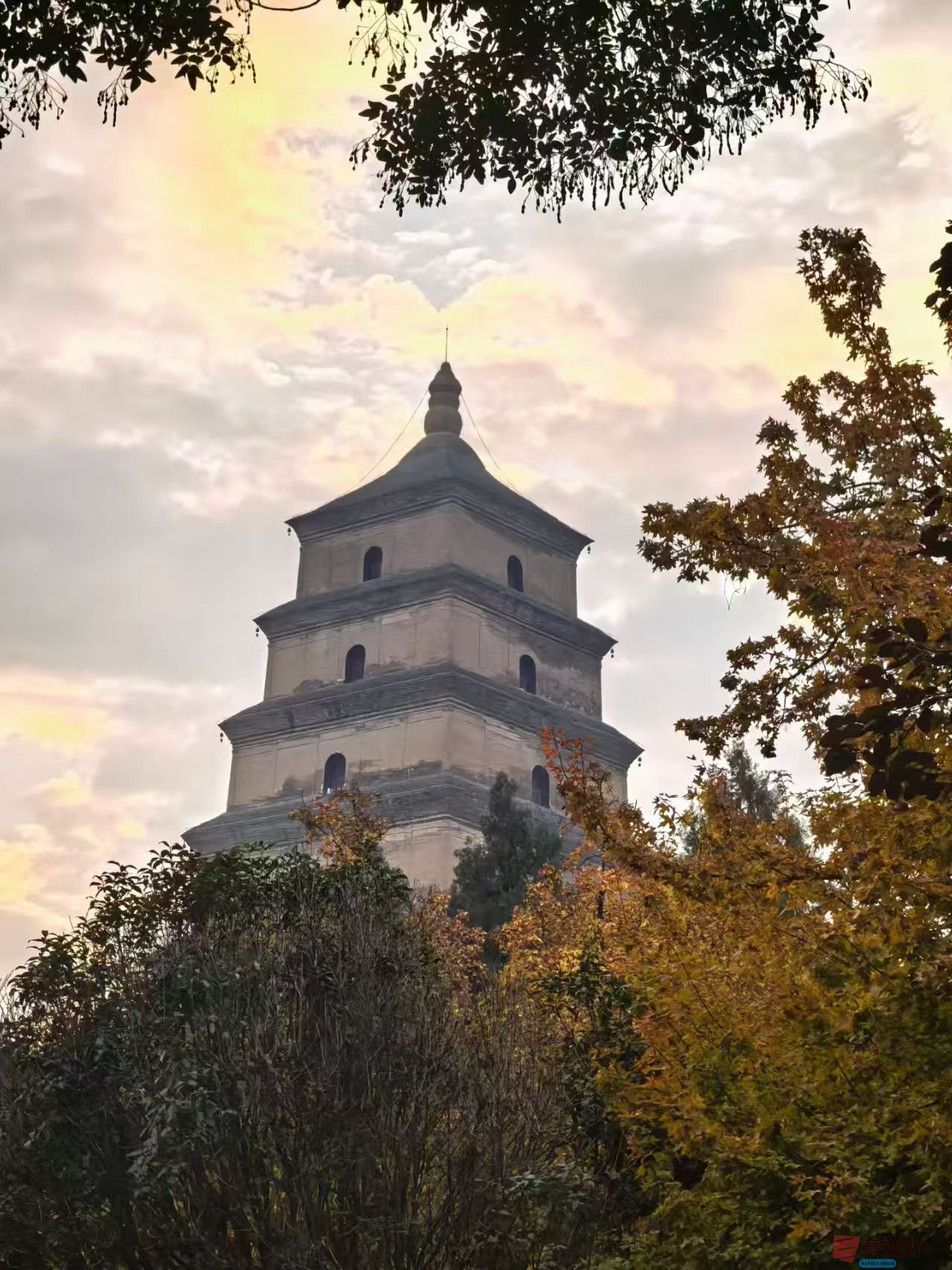 绿海雪塬_20251123183028_2564_104 (3).jpg