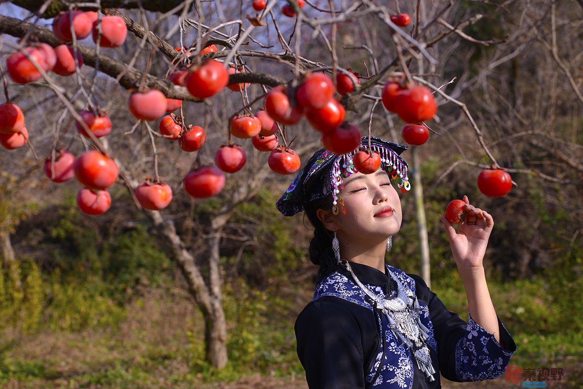 赵建华_20251124031630_3664_463 (5).jpg