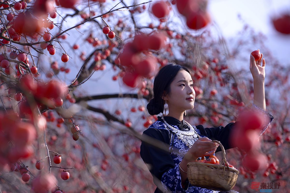 赵建华_20251124031630_3664_463 (15).jpg