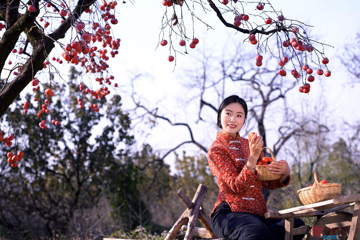 赵建华_20251124031630_3664_463 (19).jpg