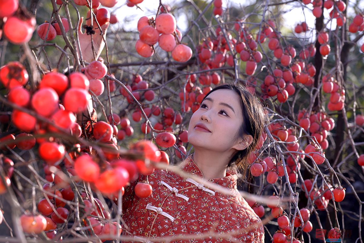 赵建华_20251124031630_3664_463 (26).jpg