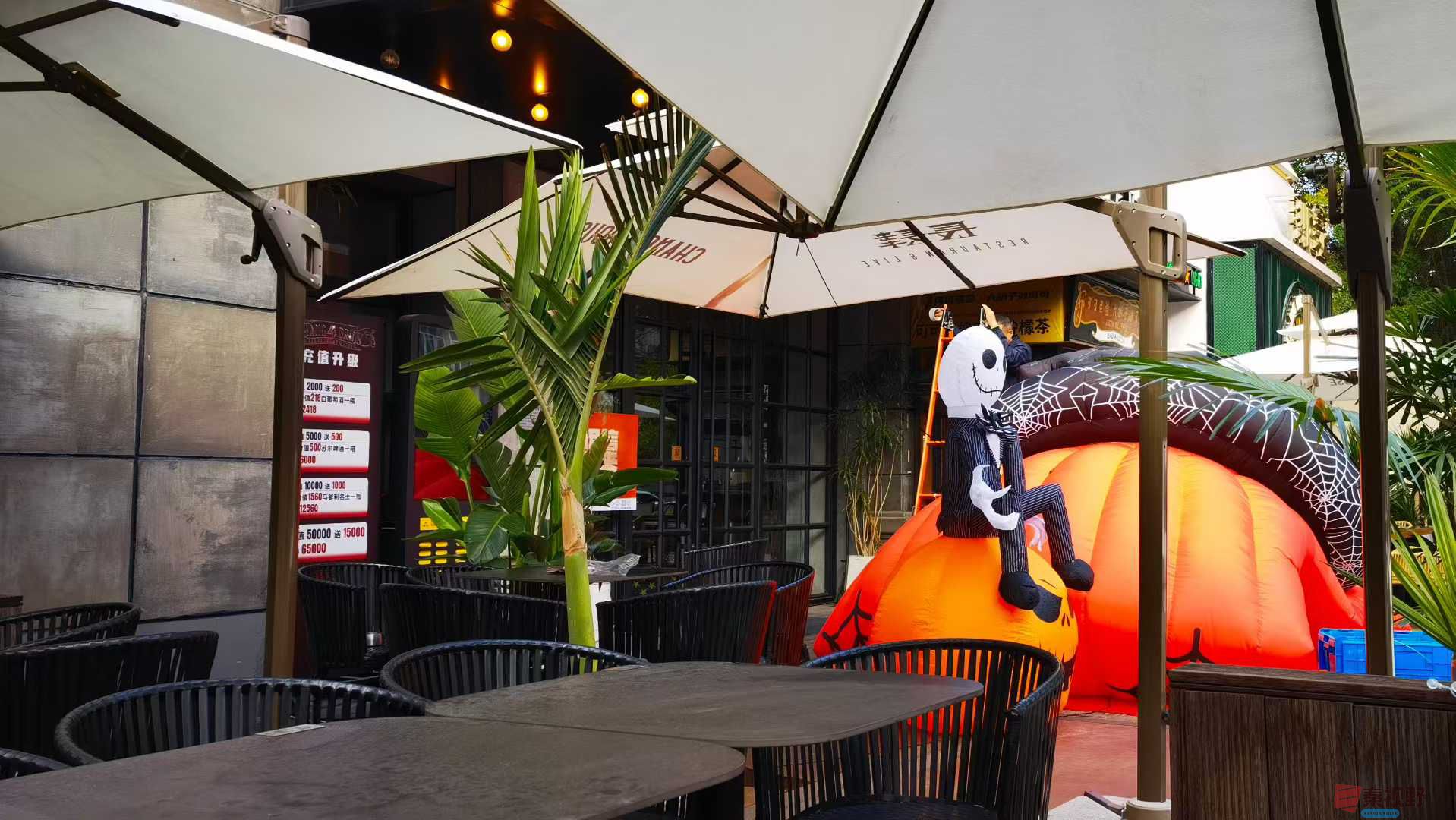 马世国11-21_112104_292 (8).jpg