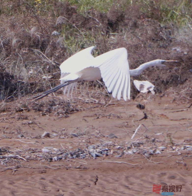 王顺利_20251124132232_3716_463 (2).jpg