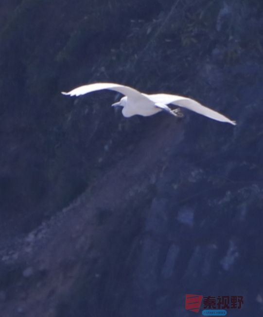 王顺利_20251124132232_3716_463 (3).jpg