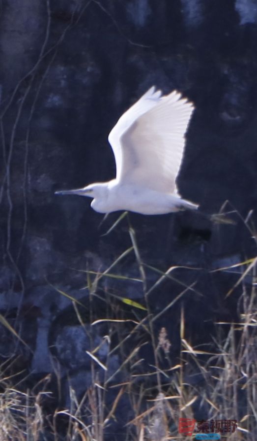 王顺利_20251124132232_3716_463 (4).jpg