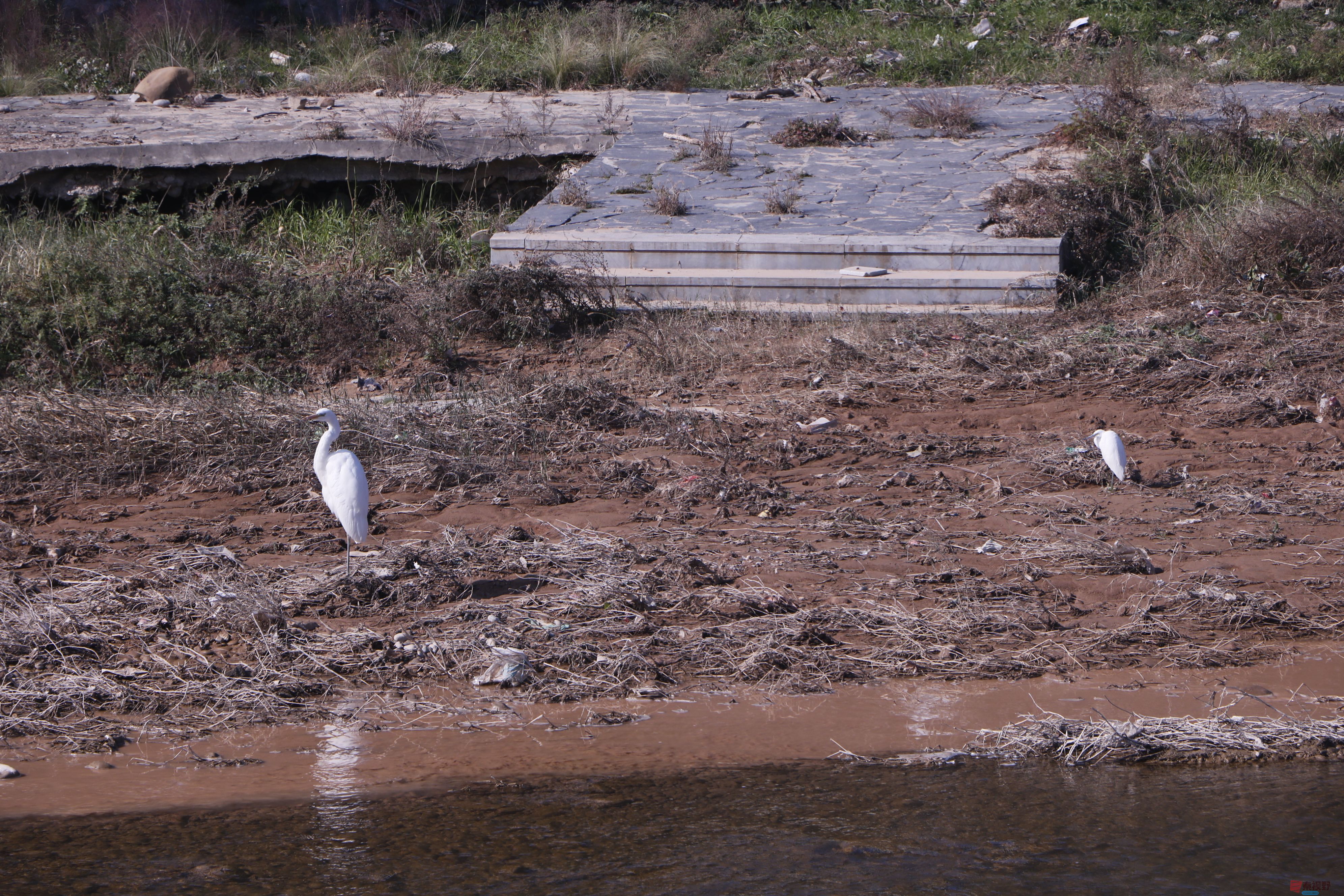 王顺利_20251124132232_3716_463 (7).jpg