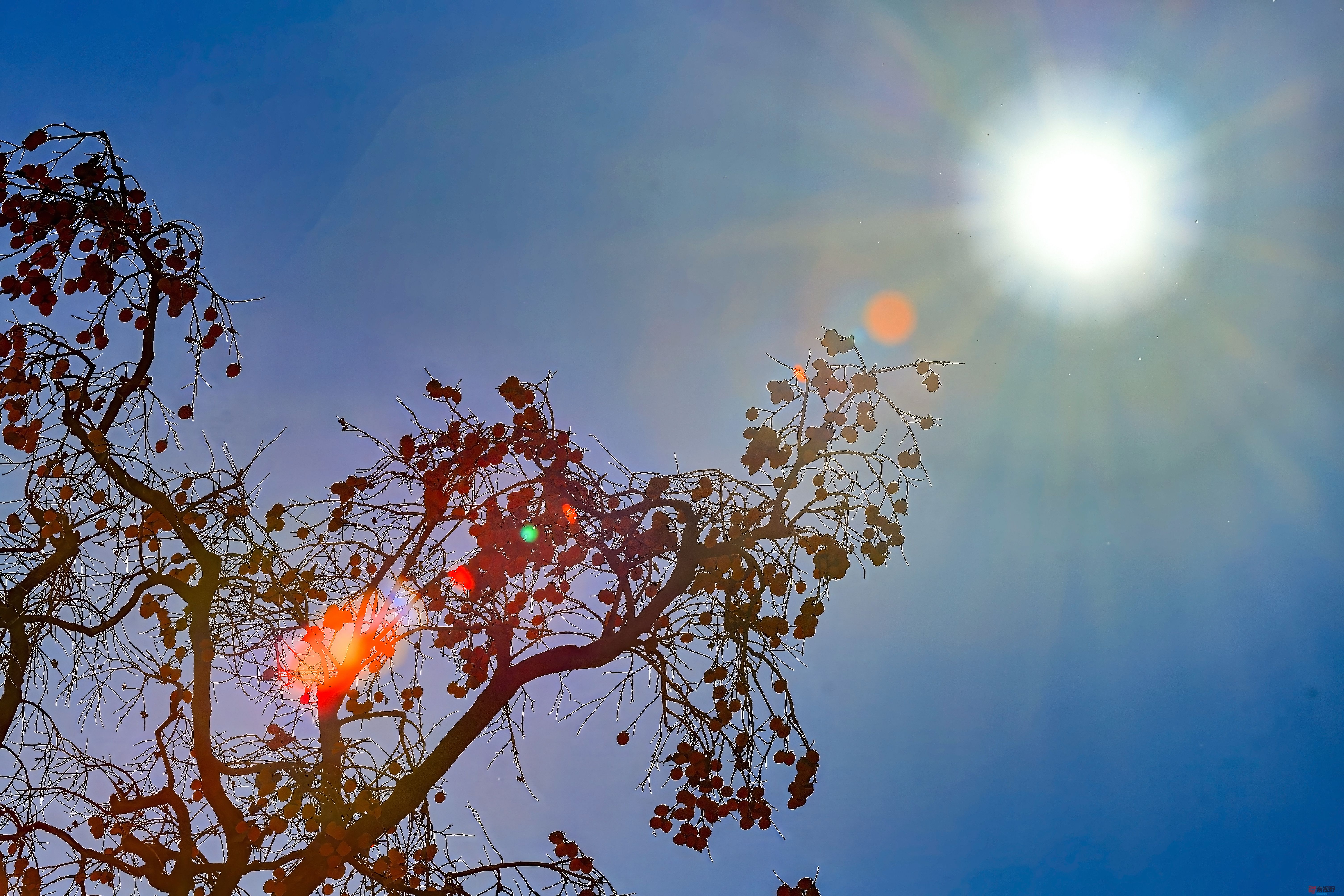 陈耀杰_20251120132032_3543_463 (5).jpg