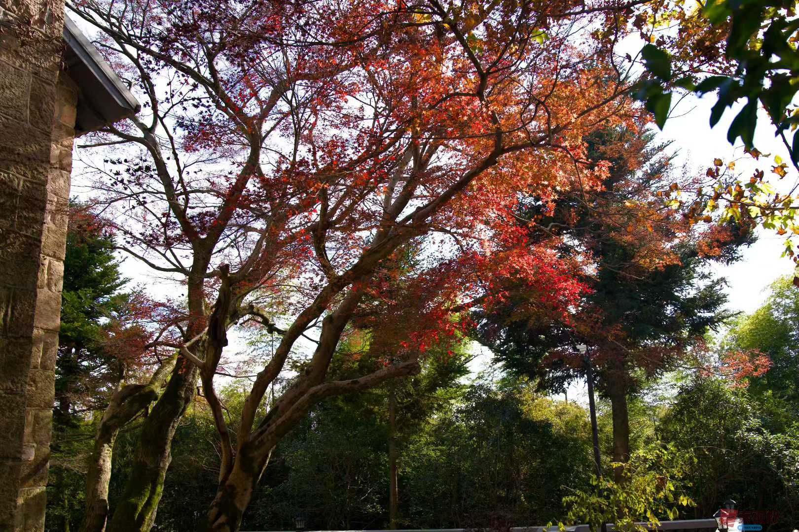 张巧玲_2025-11-24_211838_435 (7).jpg