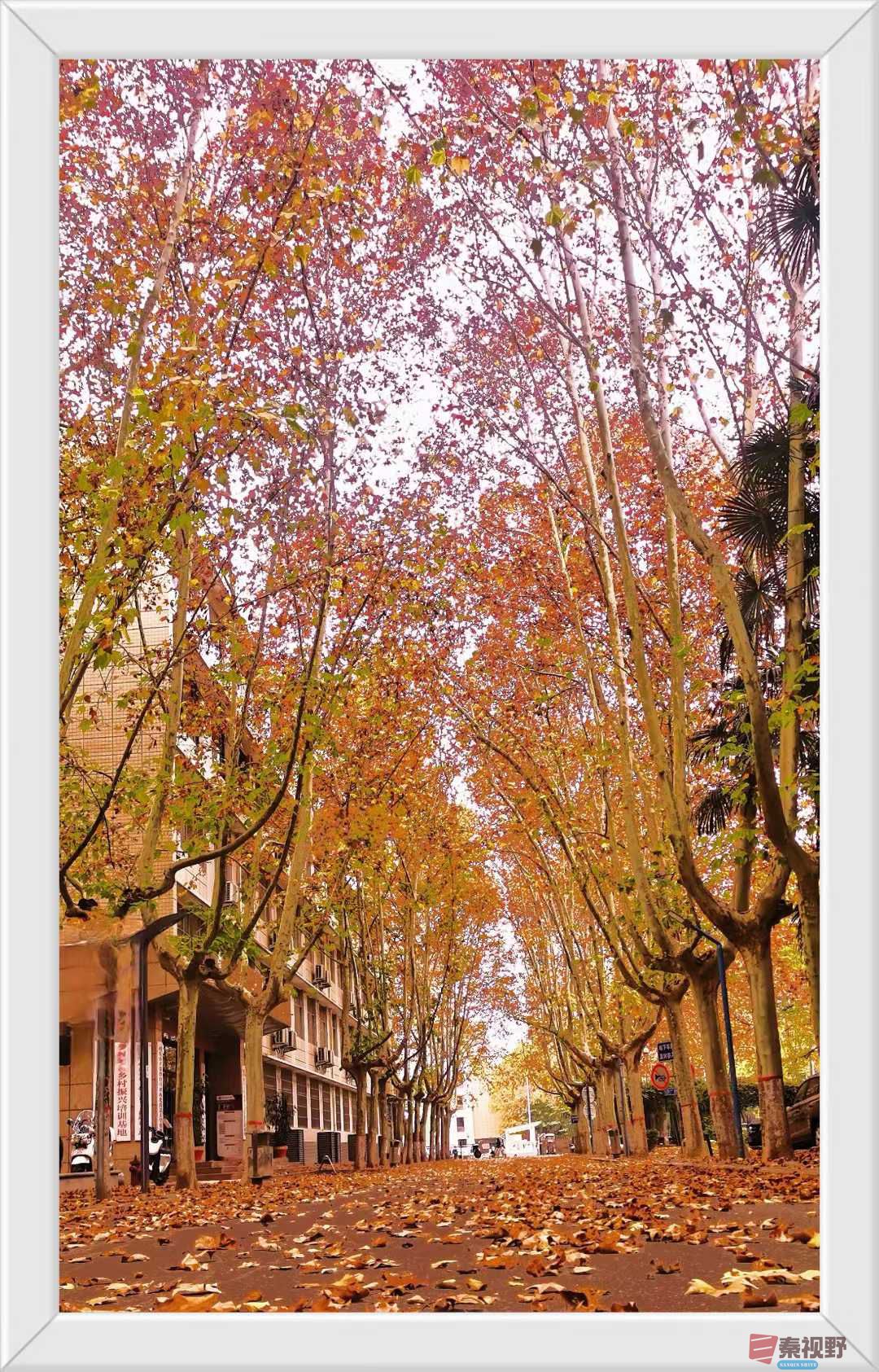 张高翔_2025-11-24_220144_868 (2).jpg