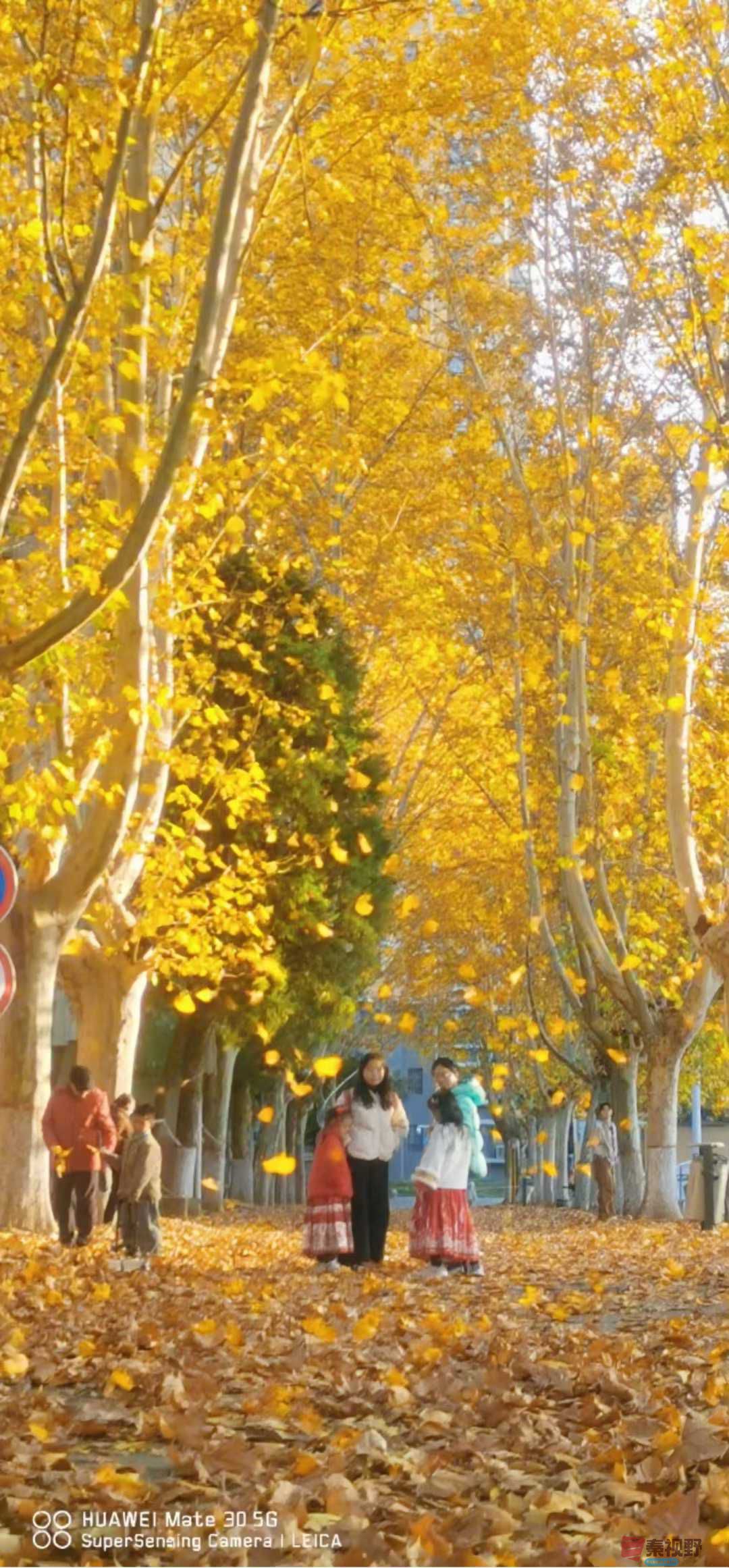 张高翔_2025-11-24_220144_868 (4).jpg