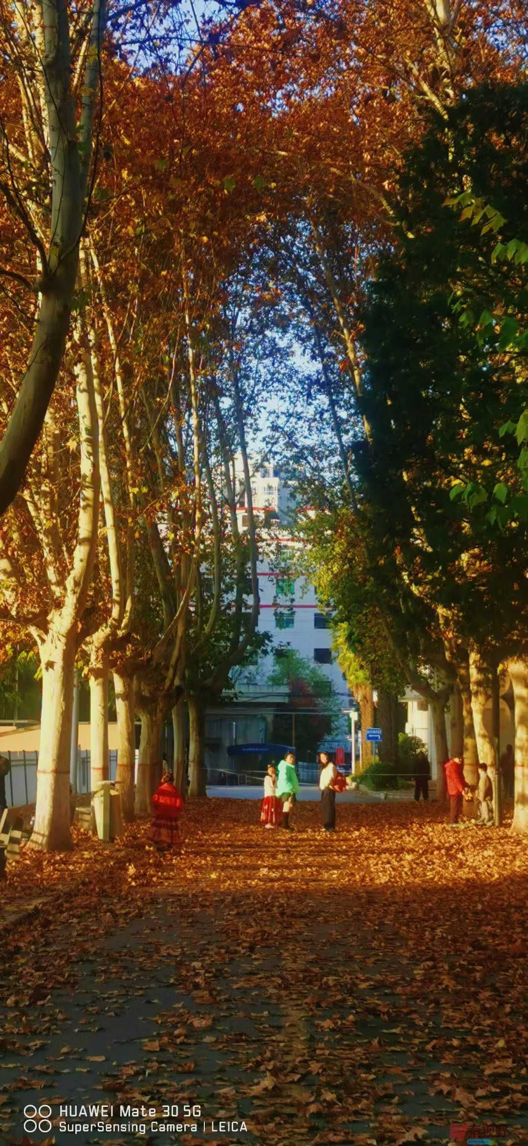 张高翔_2025-11-24_220144_868 (6).jpg