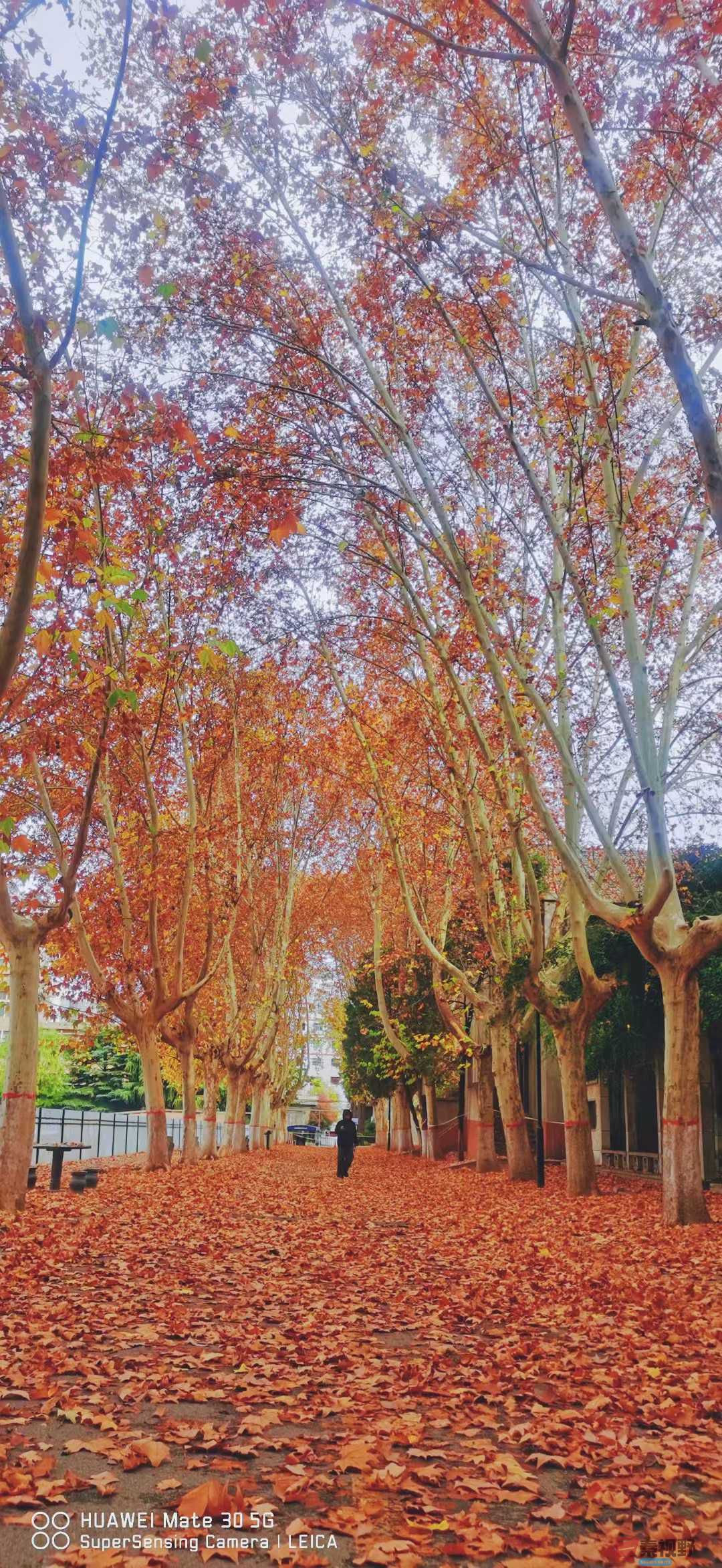 张高翔_2025-11-24_220144_868 (7).jpg