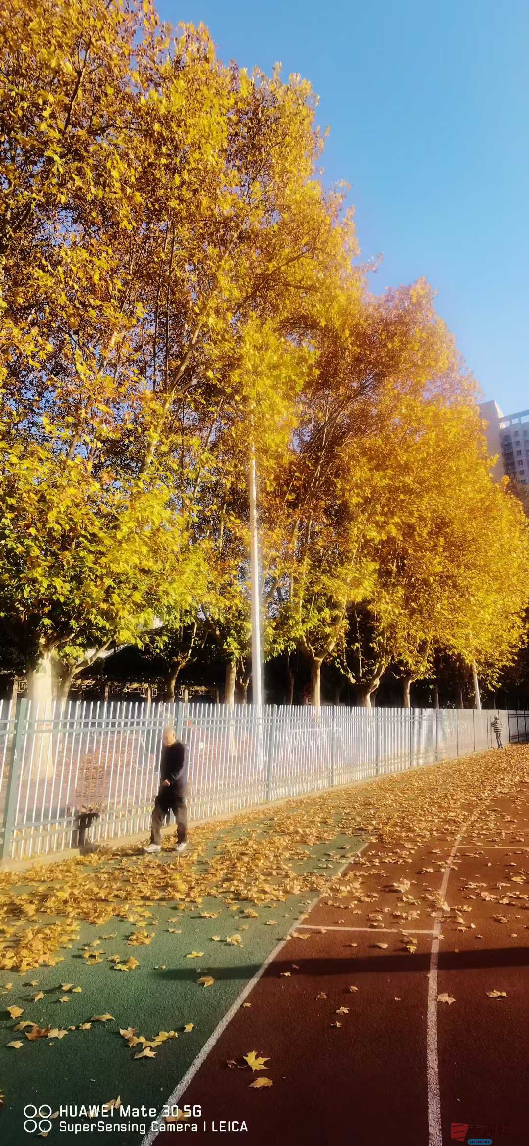 张高翔_2025-11-24_220144_868 (9).jpg