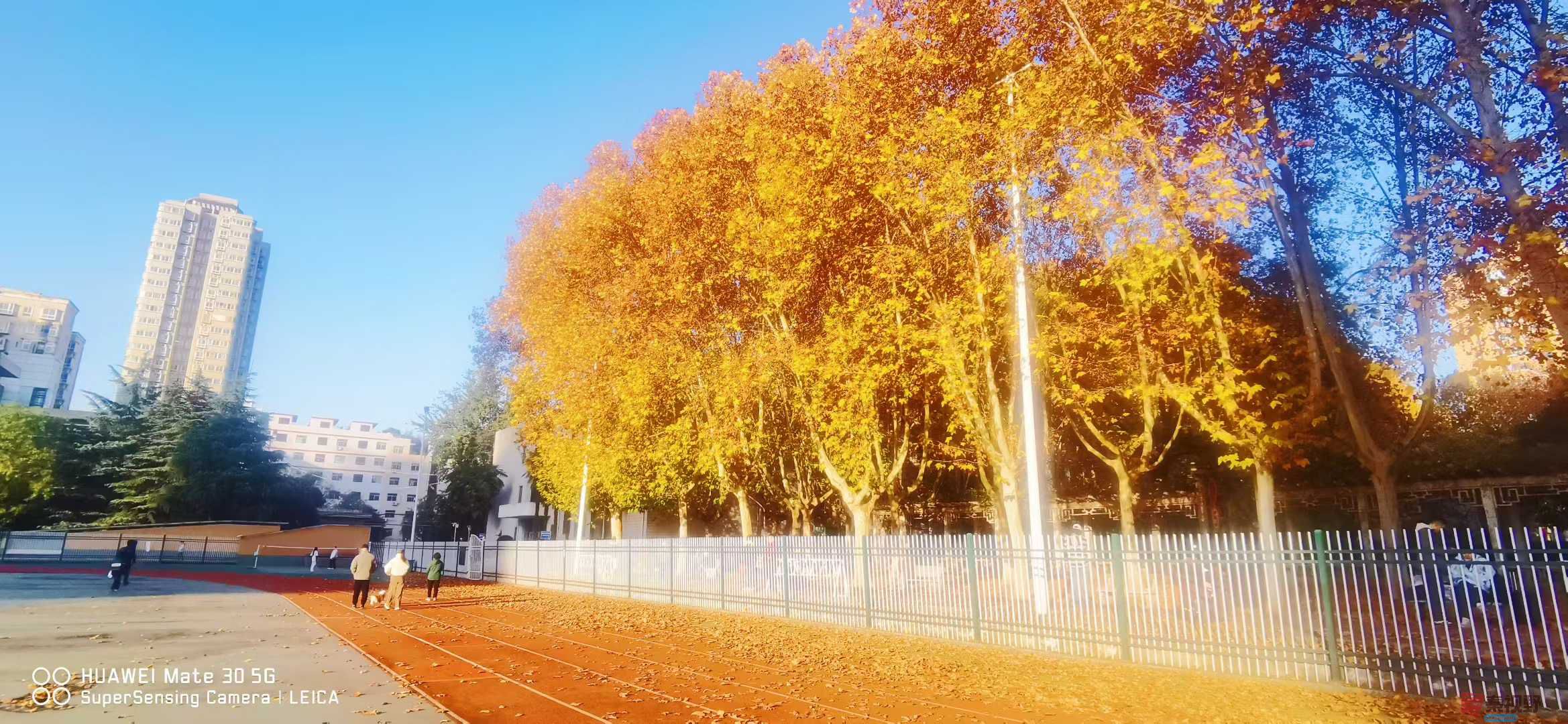 张高翔_2025-11-24_220144_868 (8).jpg